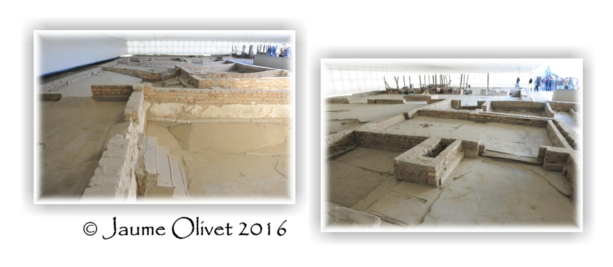  Jaume Olivet 2016