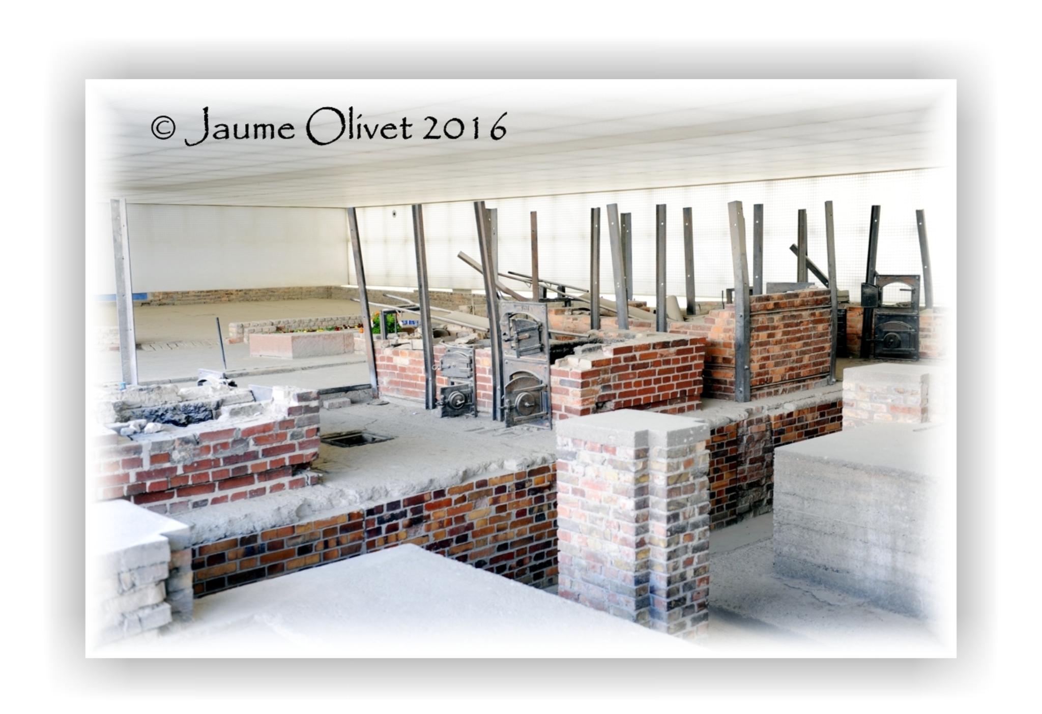 Jaume Olivet 2016