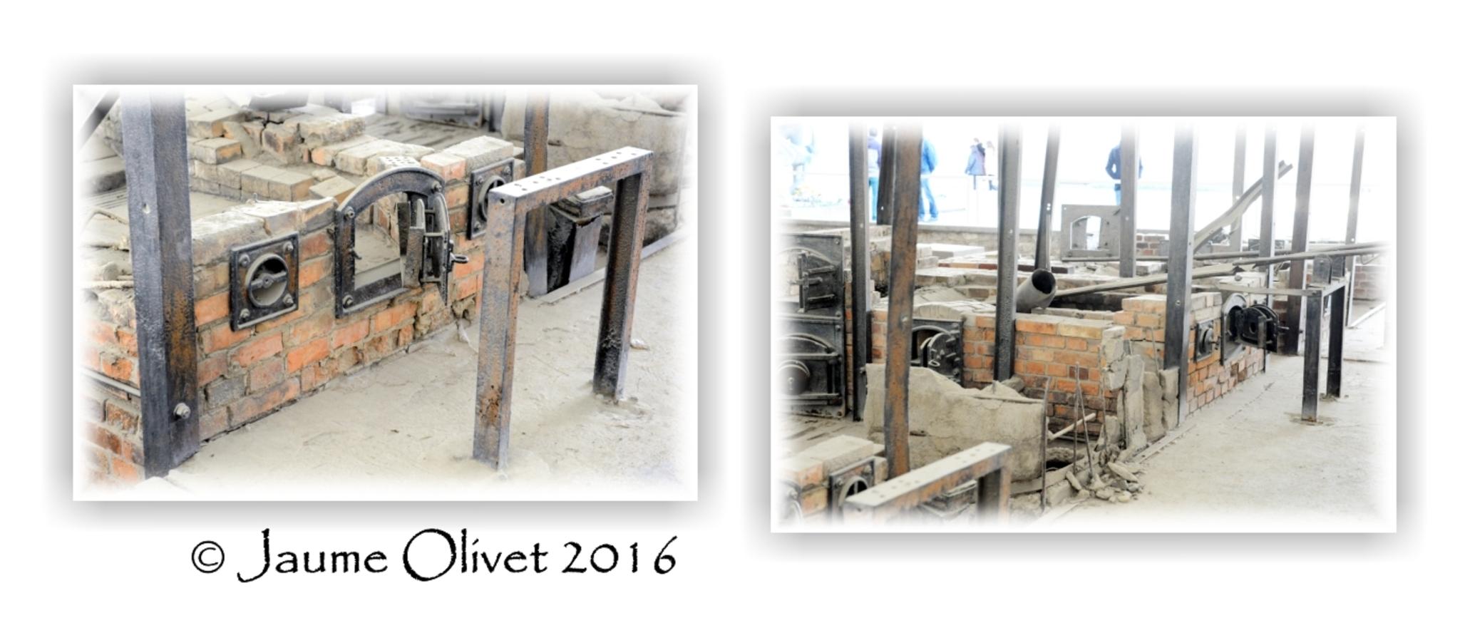  Jaume Olivet 2016