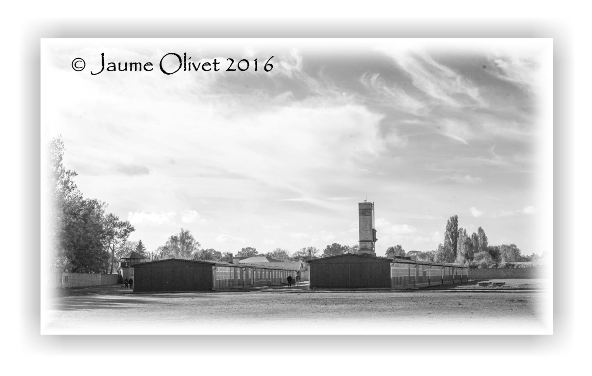  Jaume Olivet 2016