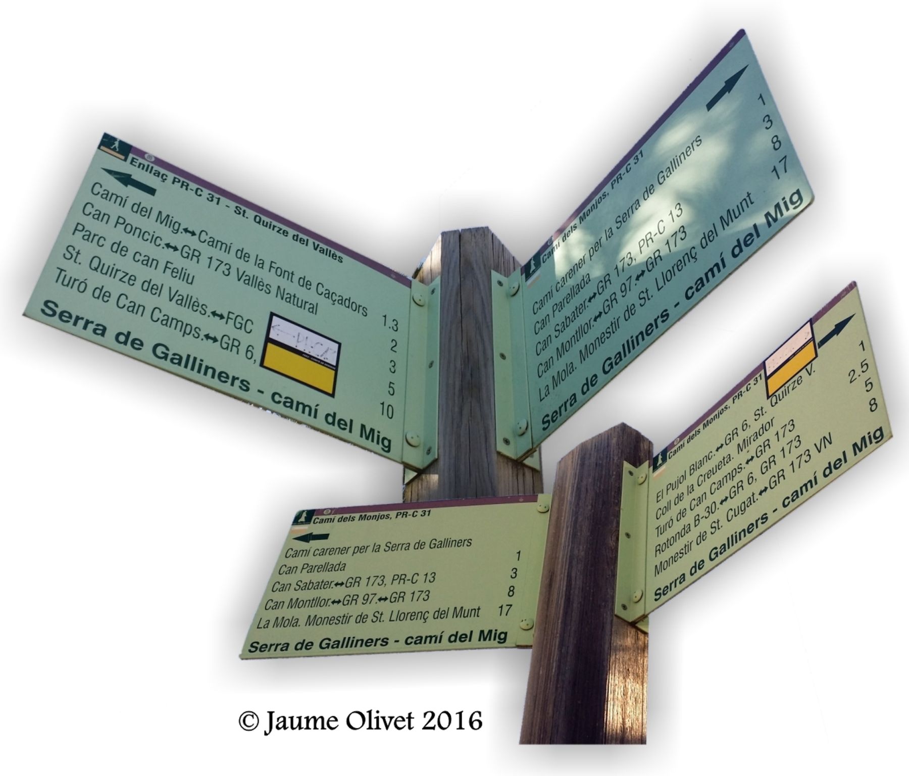  Jaume Olivet 2016