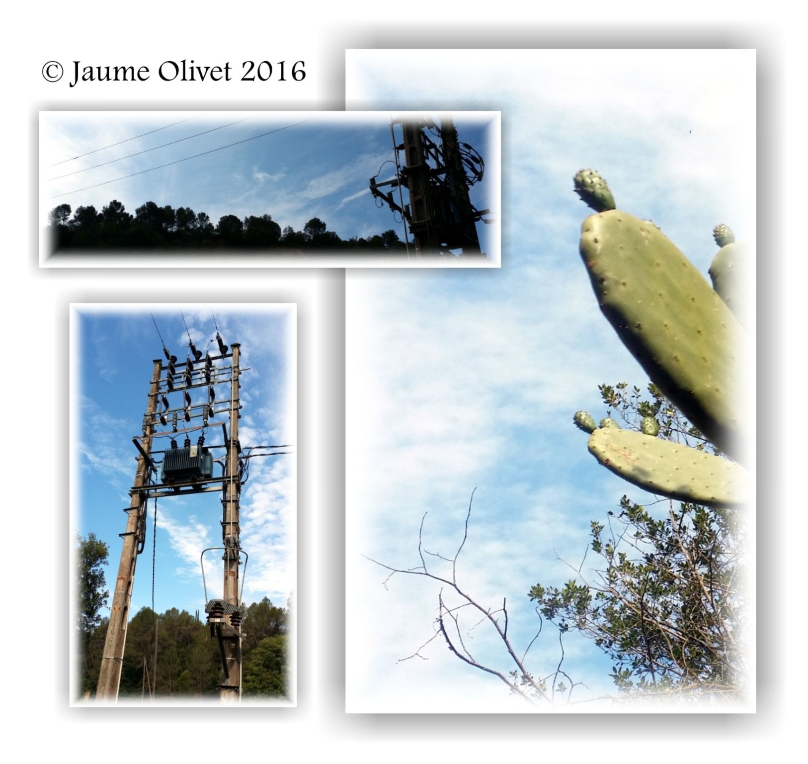  Jaume Olivet 2016