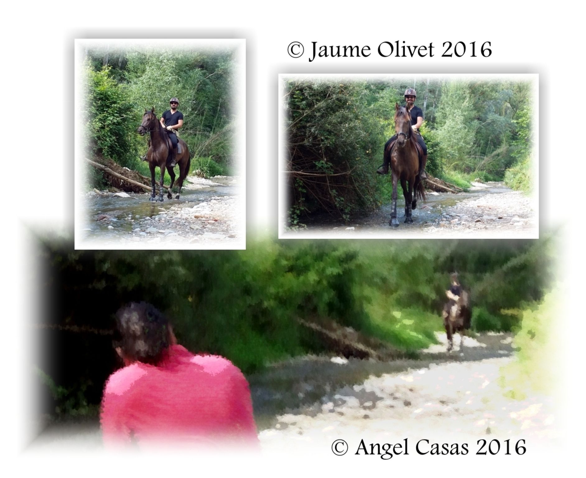  Jaume Olivet 2016