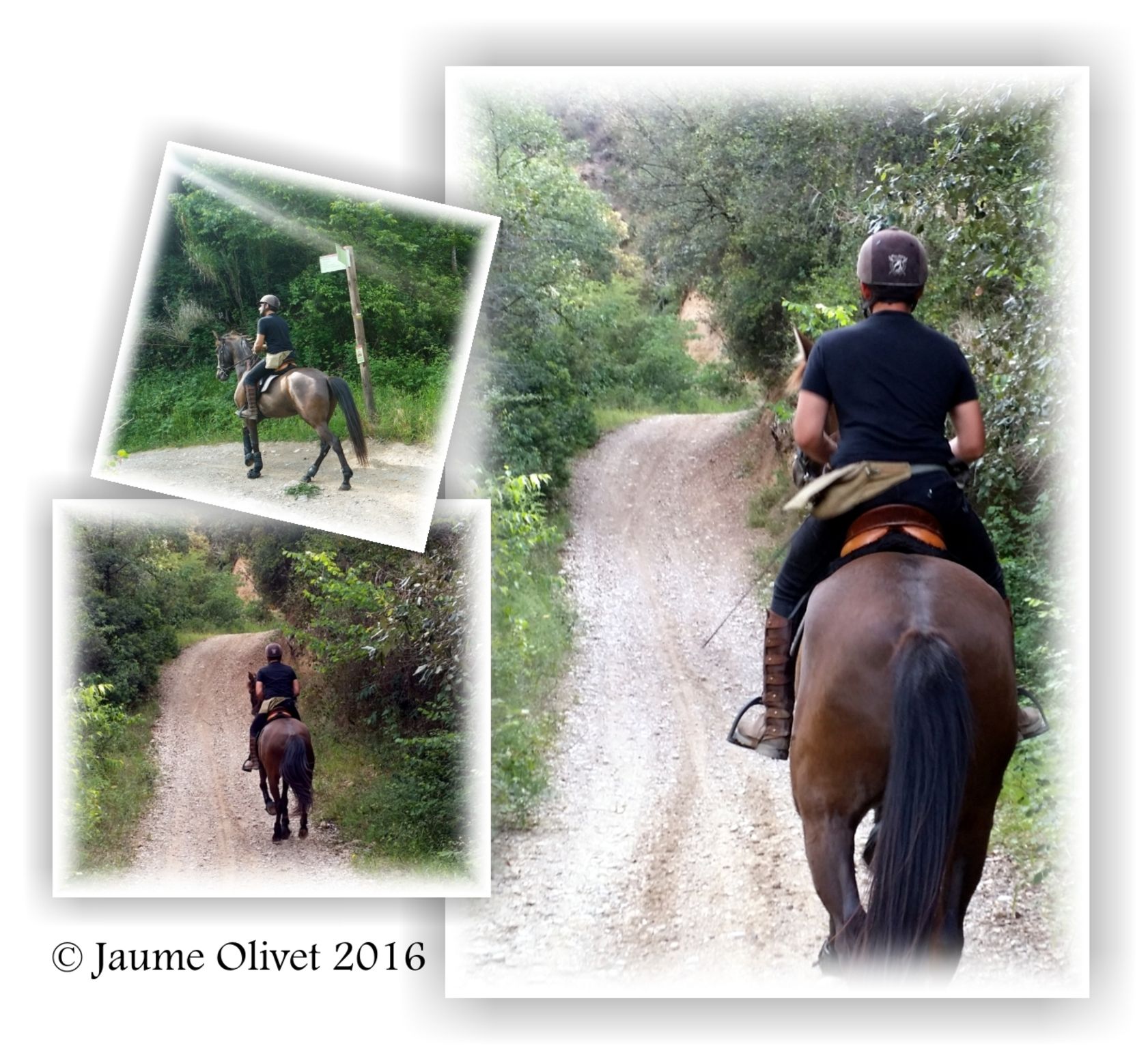  Jaume Olivet 2016