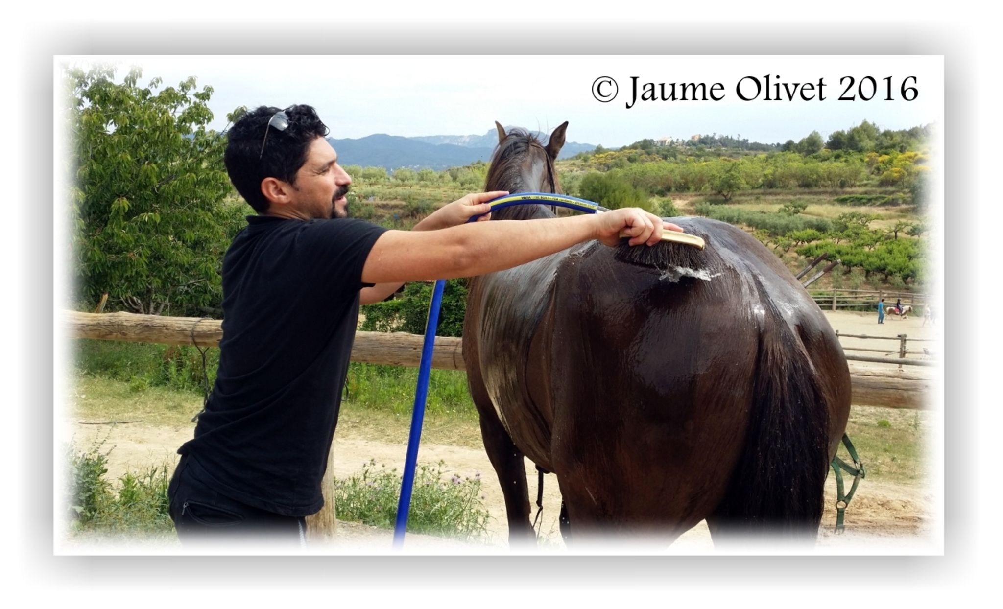  Jaume Olivet 2016