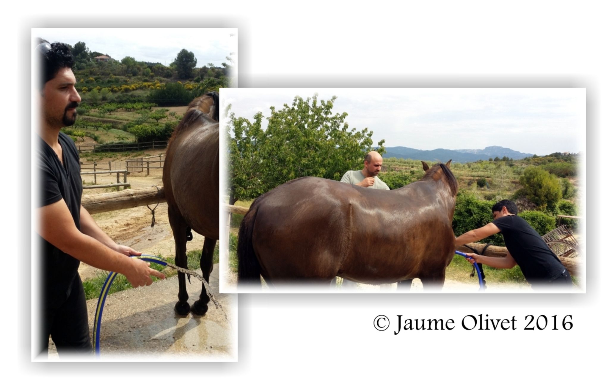  Jaume Olivet 2016