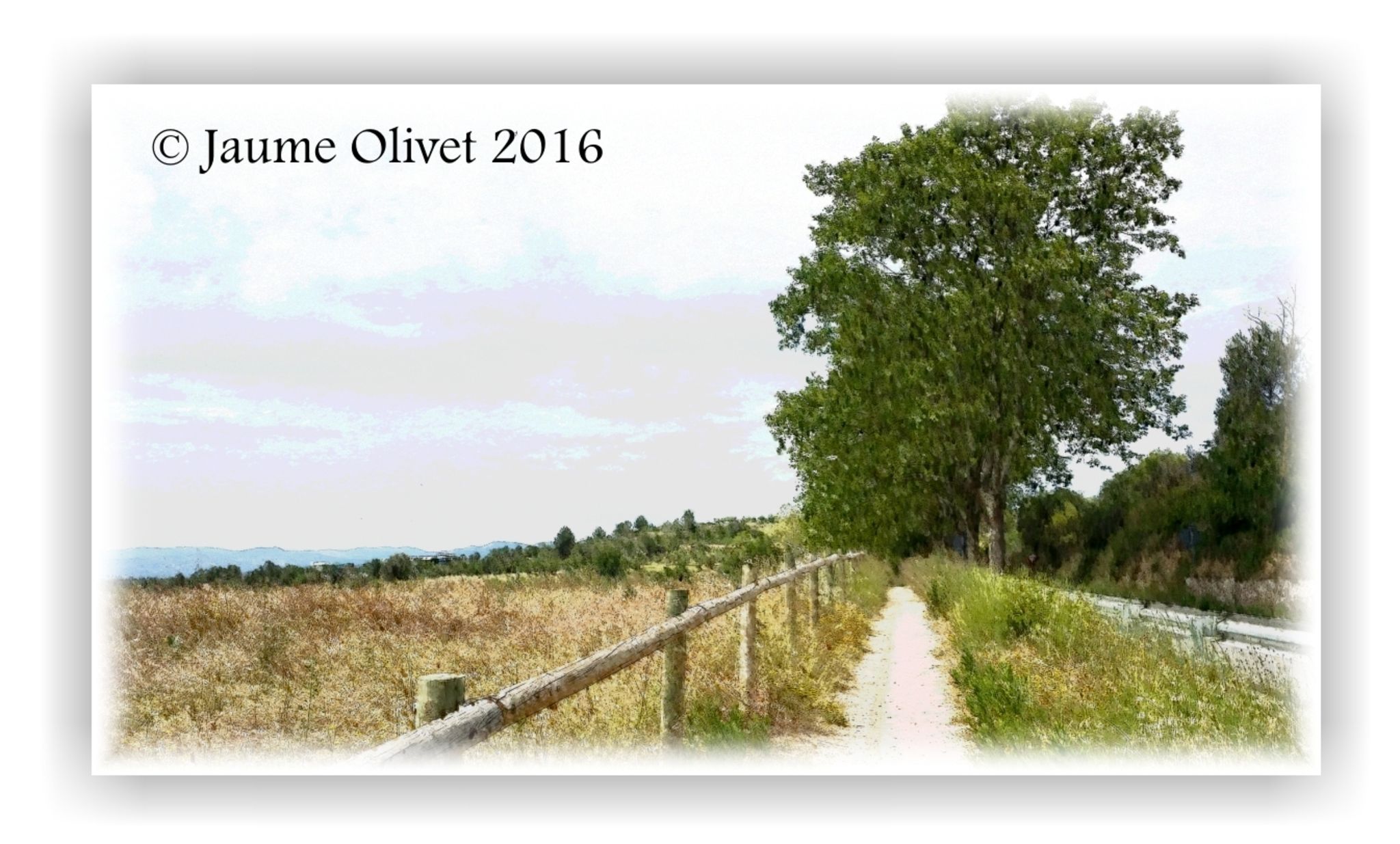  Jaume Olivet 2016