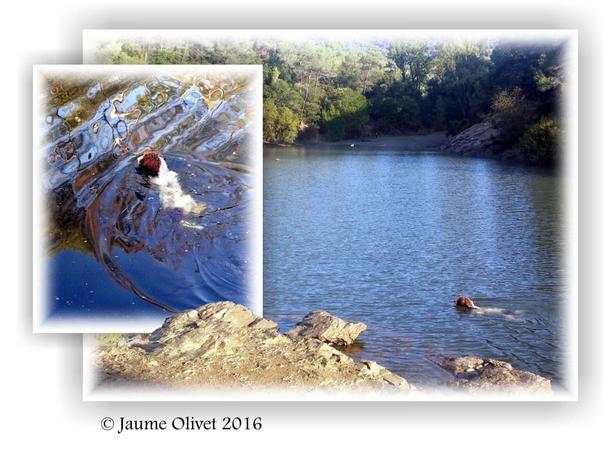  Jaume Olivet 2016