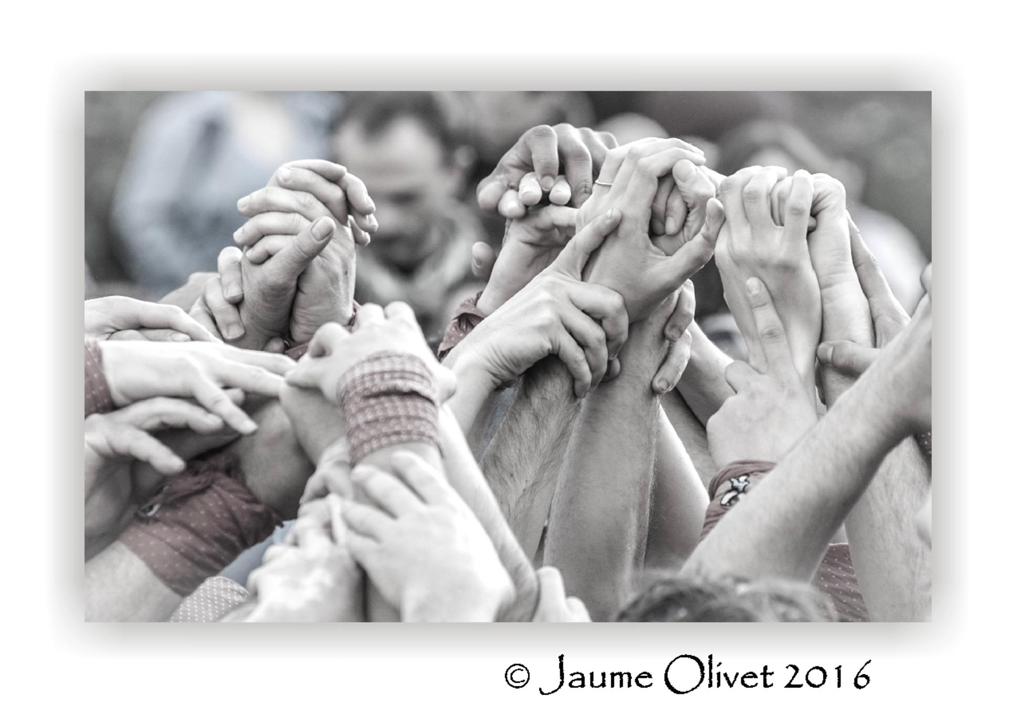  Jaume Olivet 2016