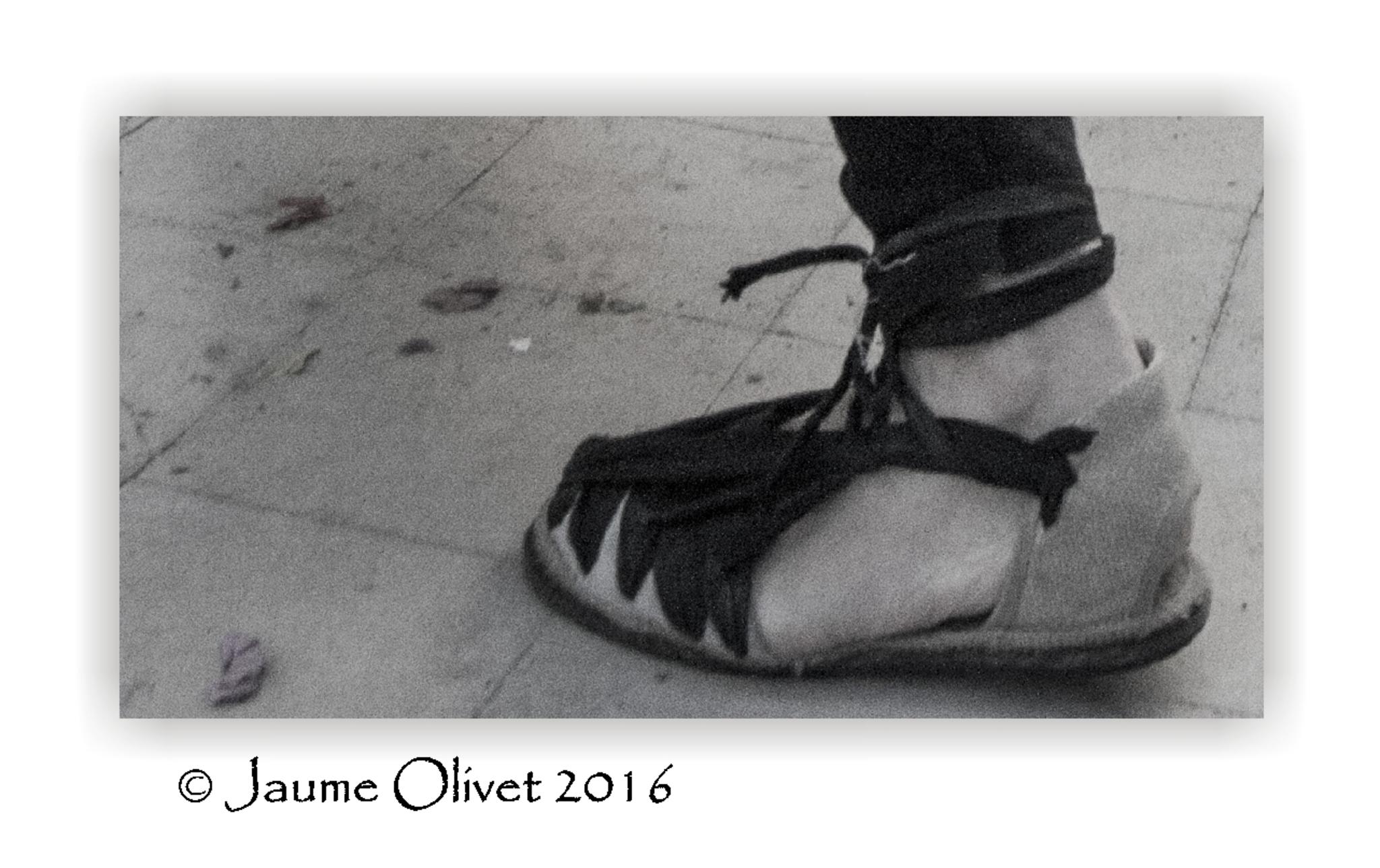  Jaume Olivet 2016