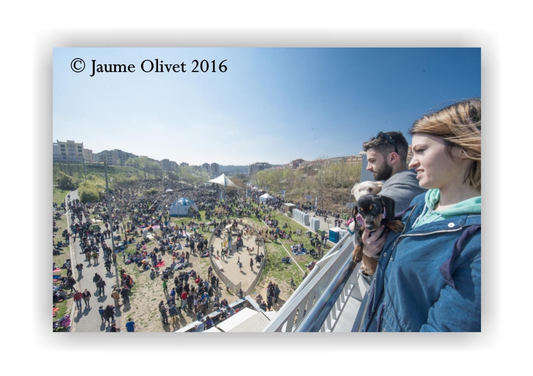 Jaume Olivet 2016