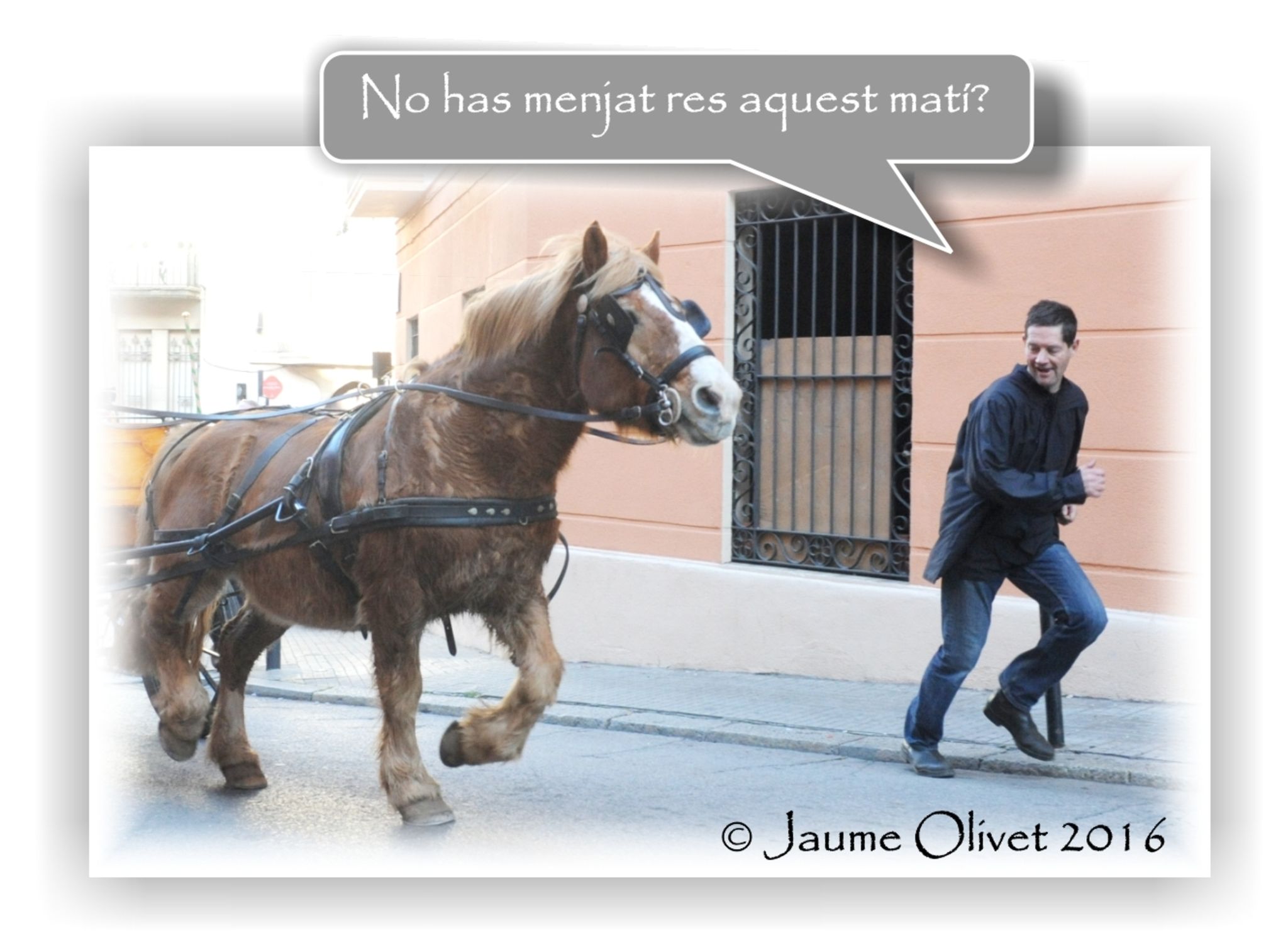 Jaume Olivet 2016