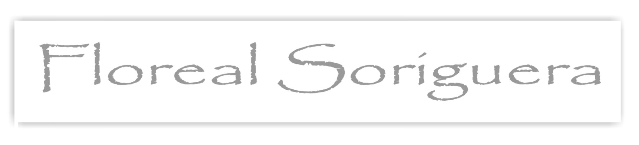 � Jaume Olivet 2016