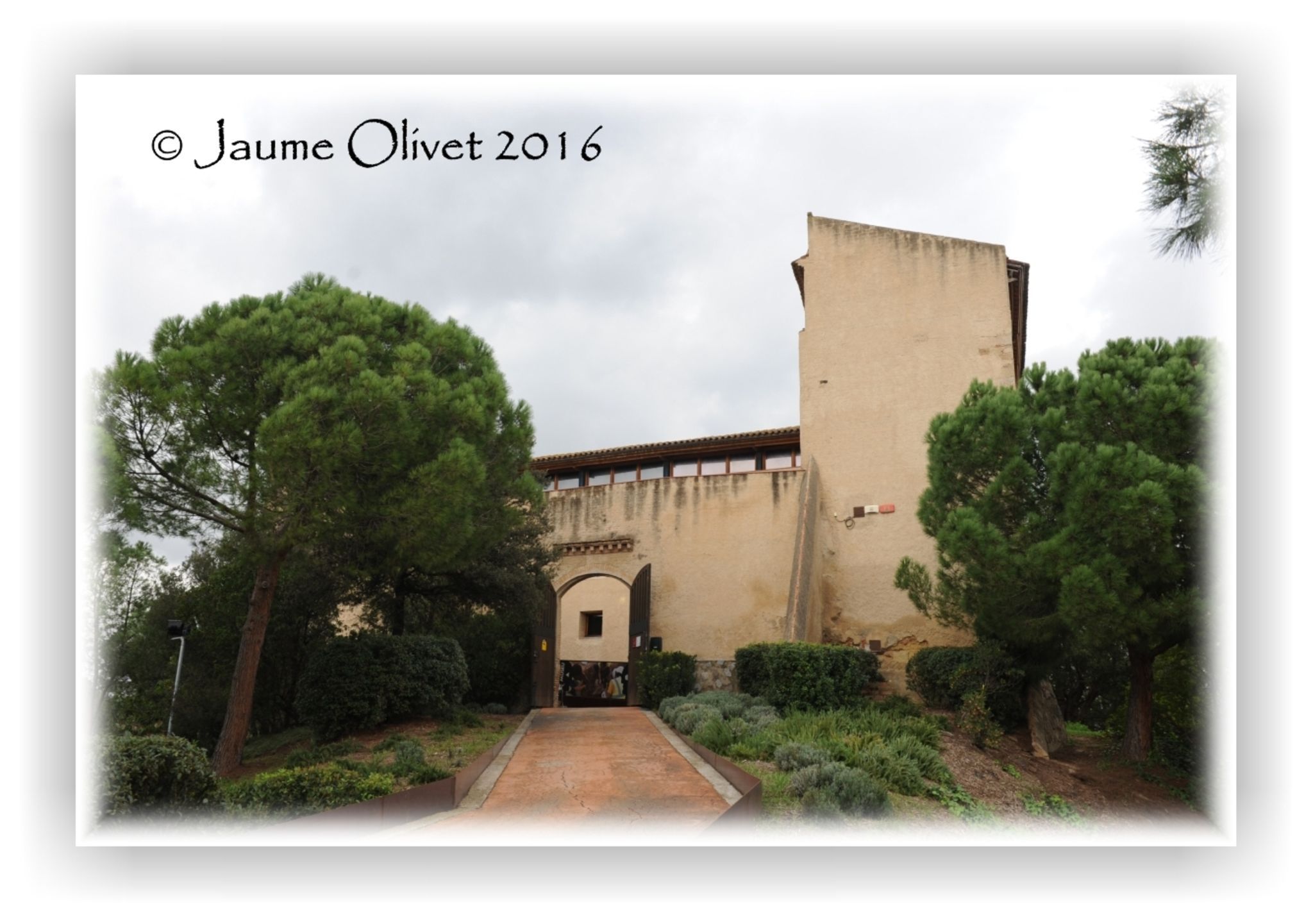  Jaume Olivet 2016