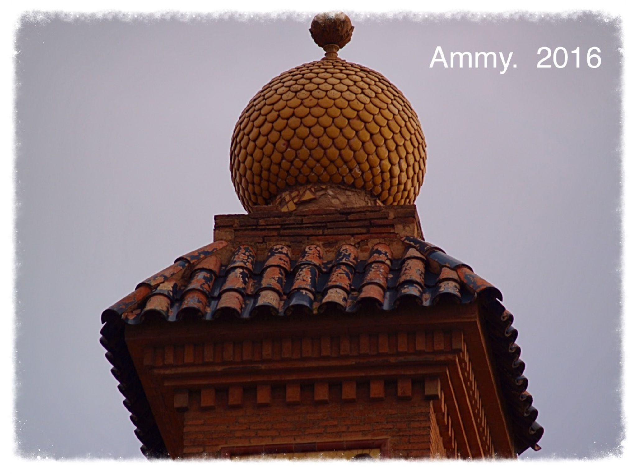  Ammy 2016