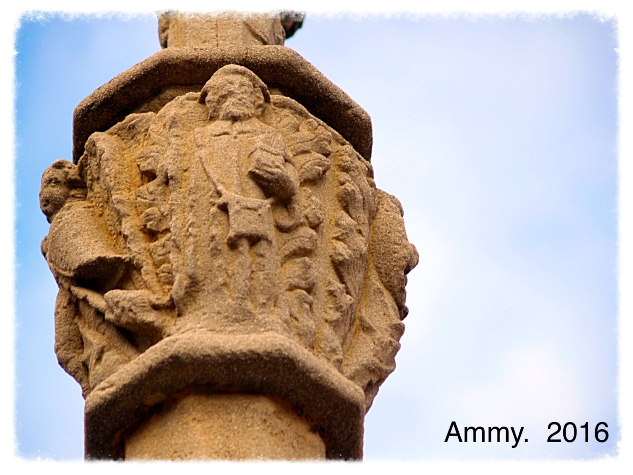  Ammy 2016
