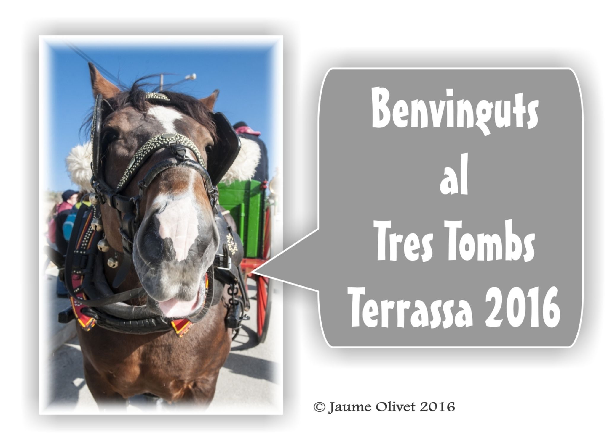  Jaume Olivet 2016