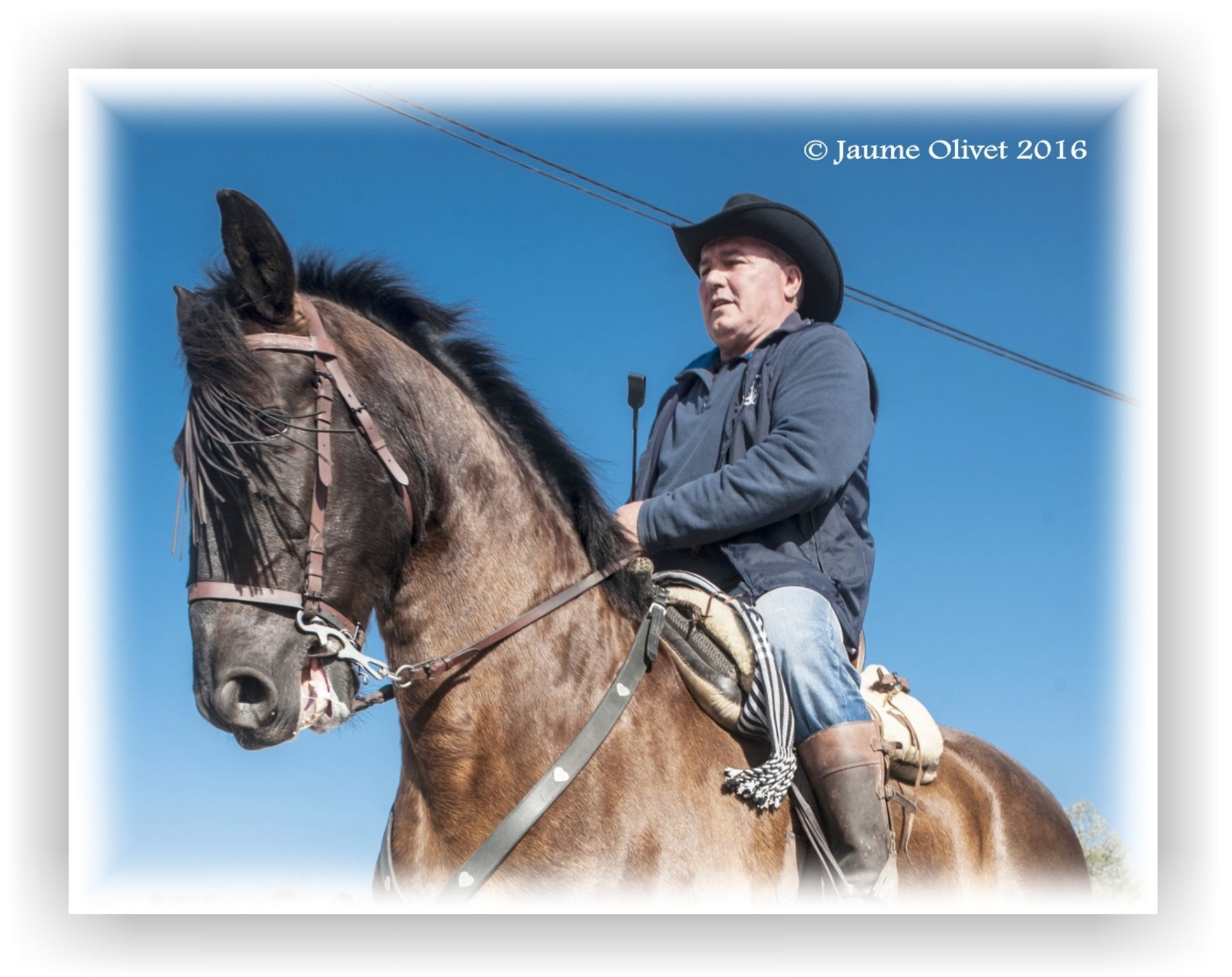  Jaume Olivet 2016