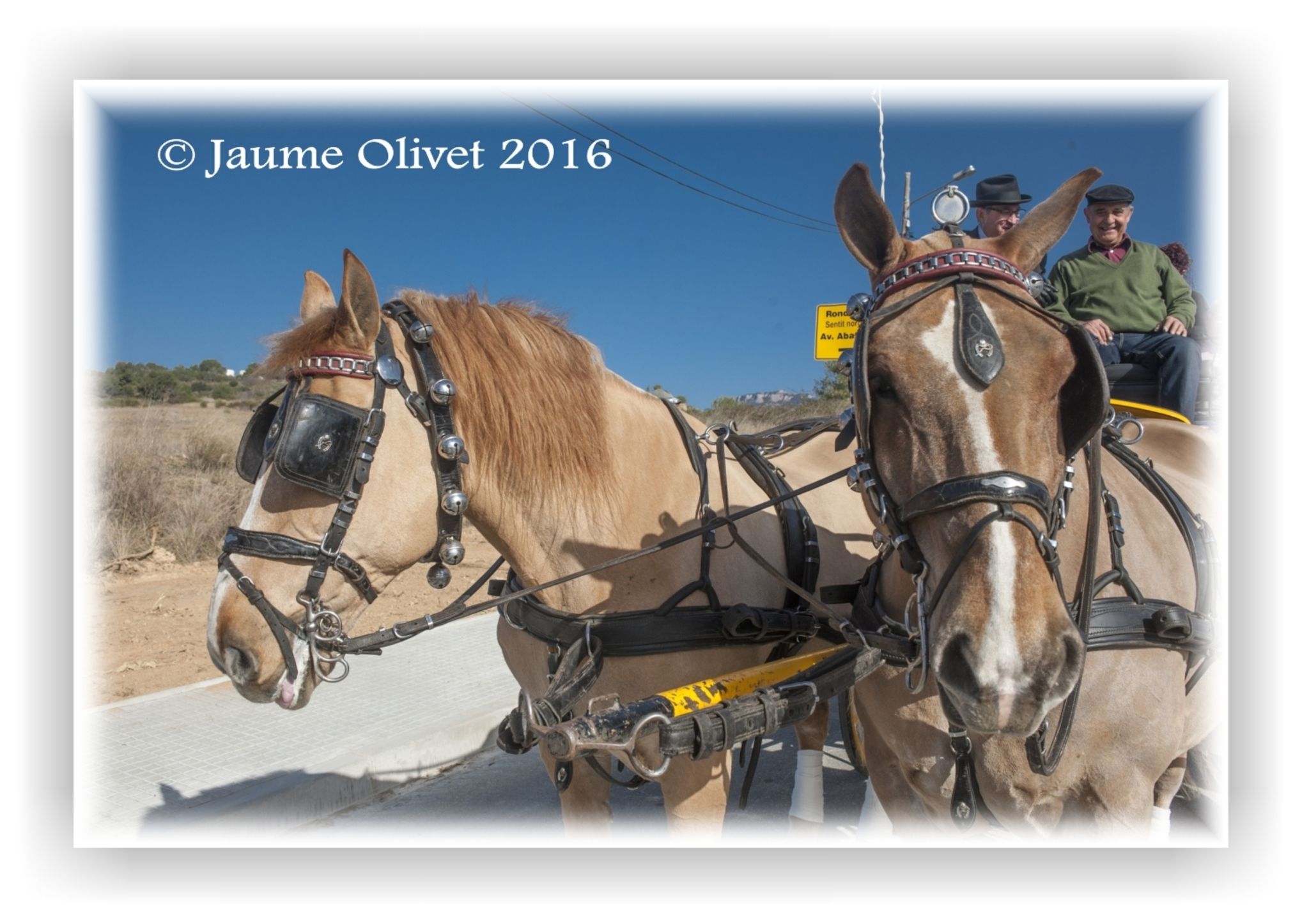  Jaume Olivet 2016
