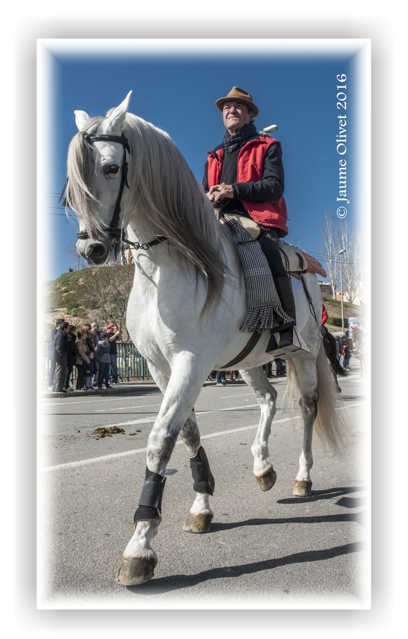  Jaume Olivet 2016
