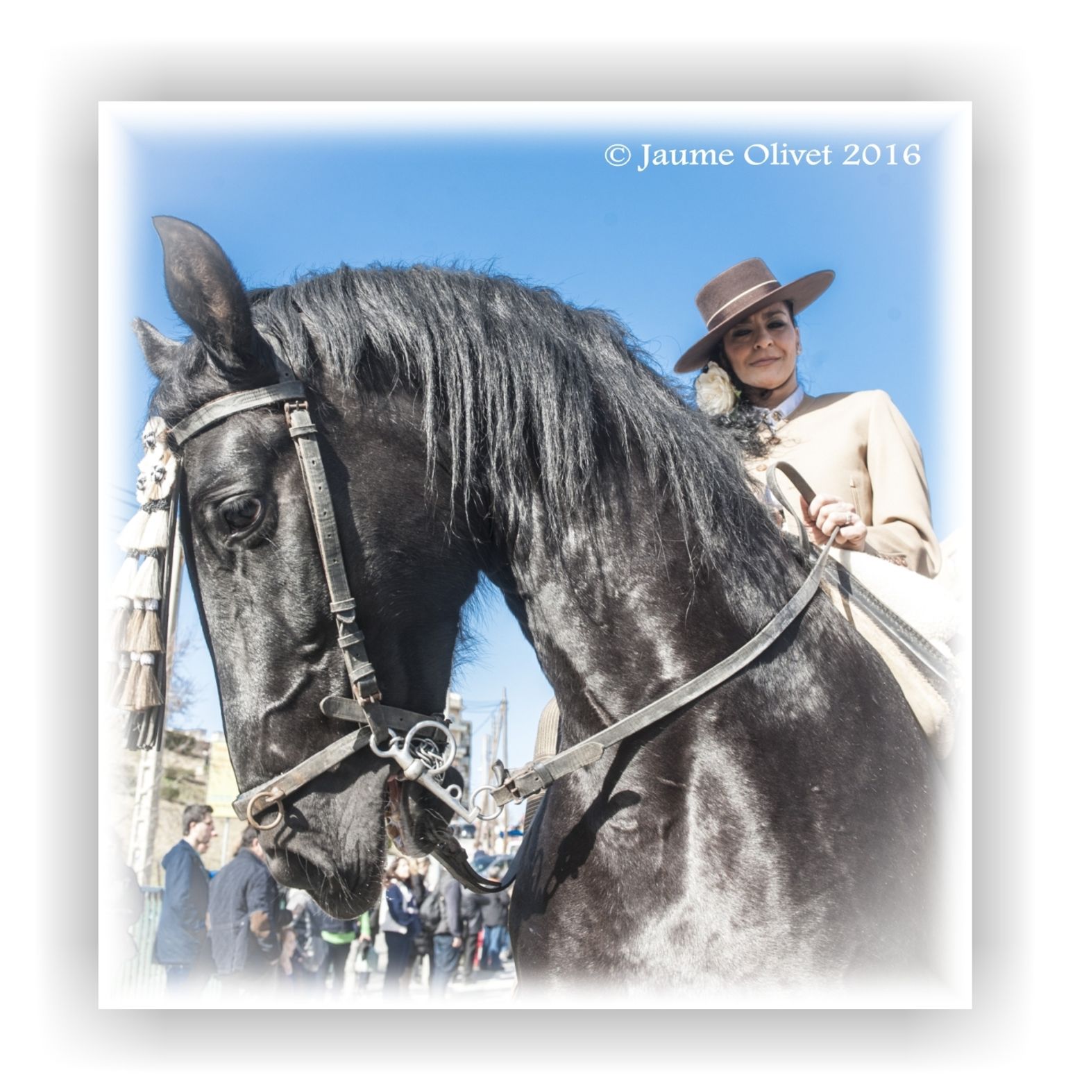  Jaume Olivet 2016