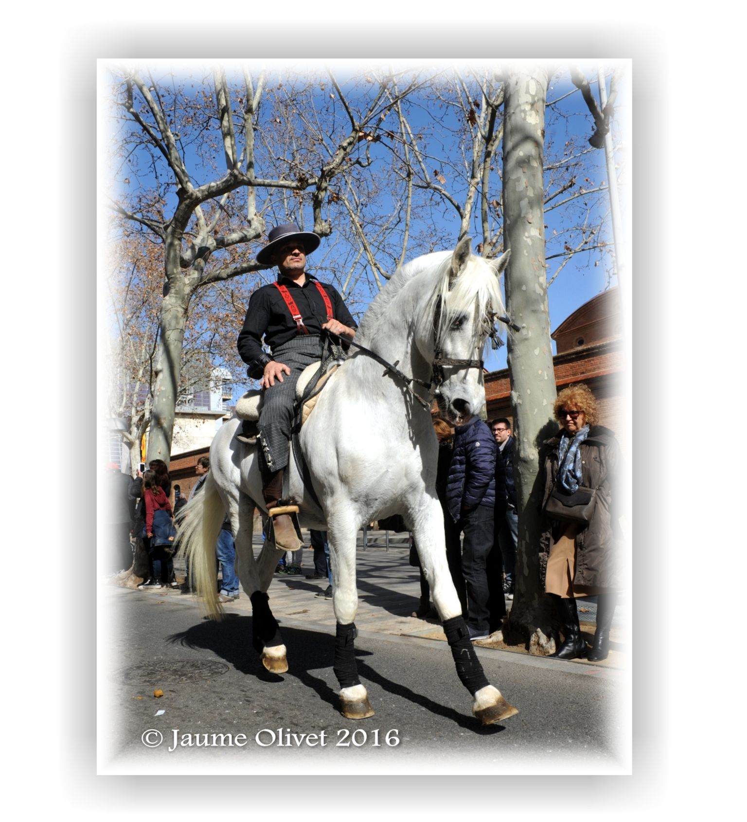  Jaume Olivet 2016