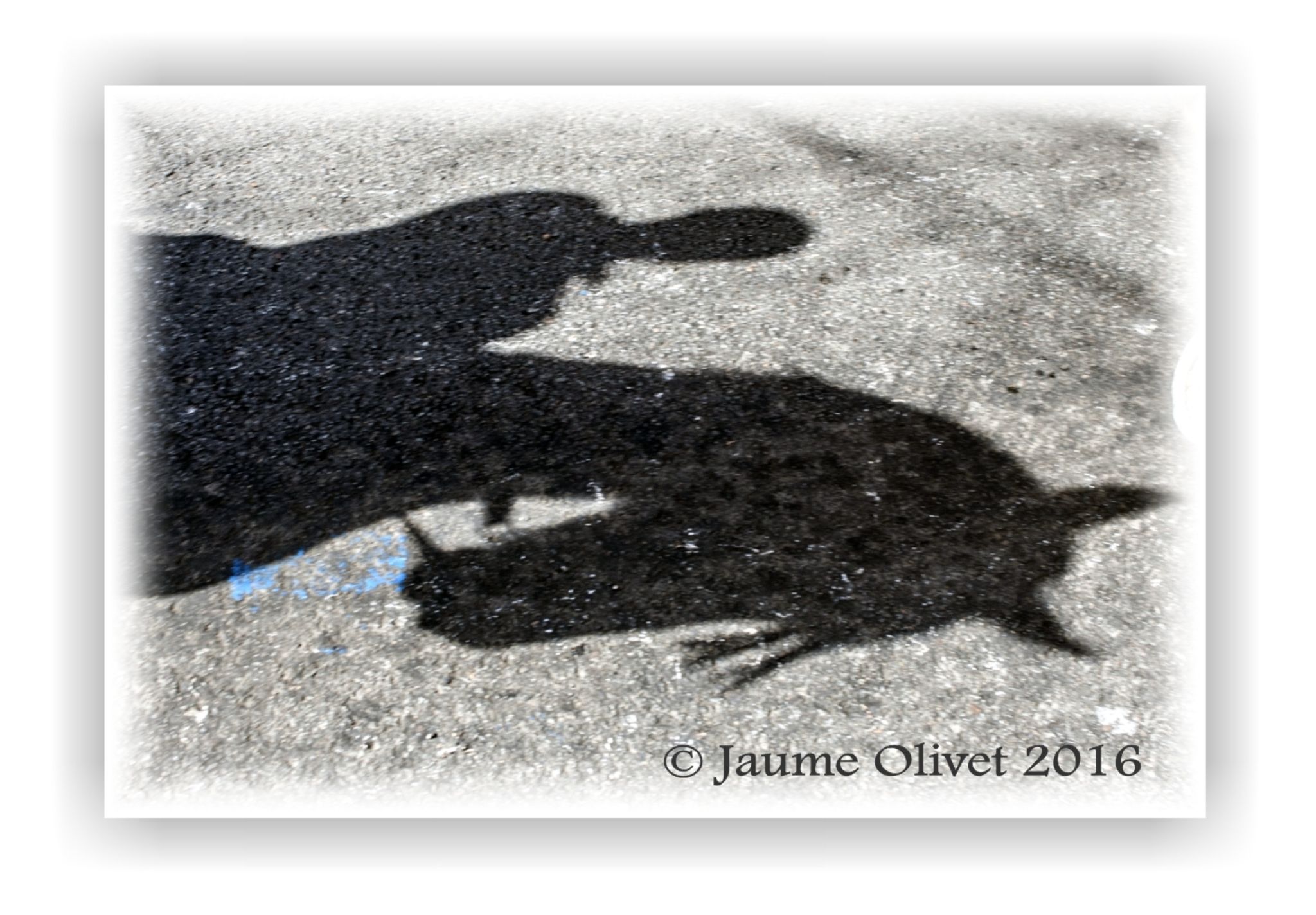  Jaume Olivet 2016