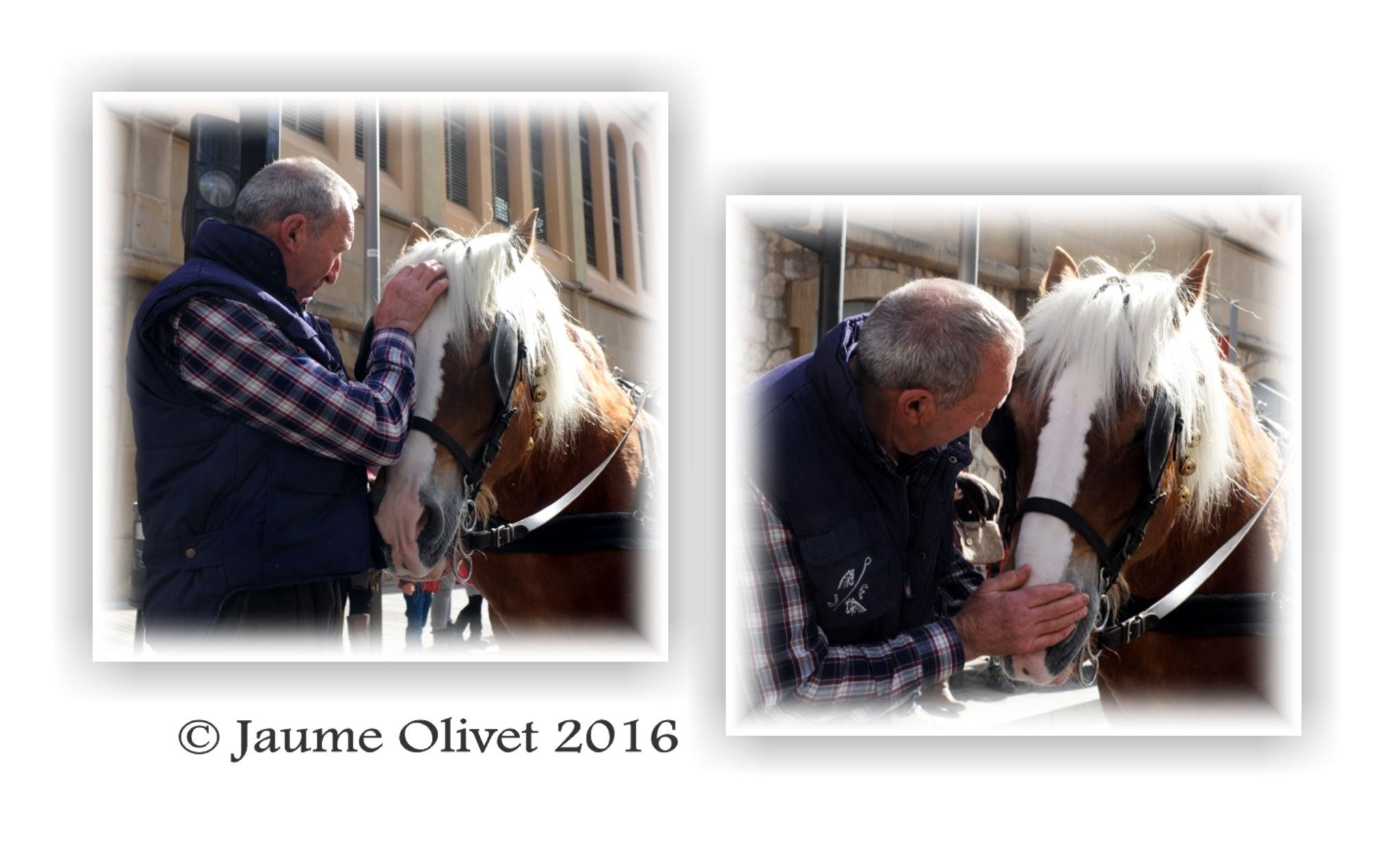  Jaume Olivet 2016