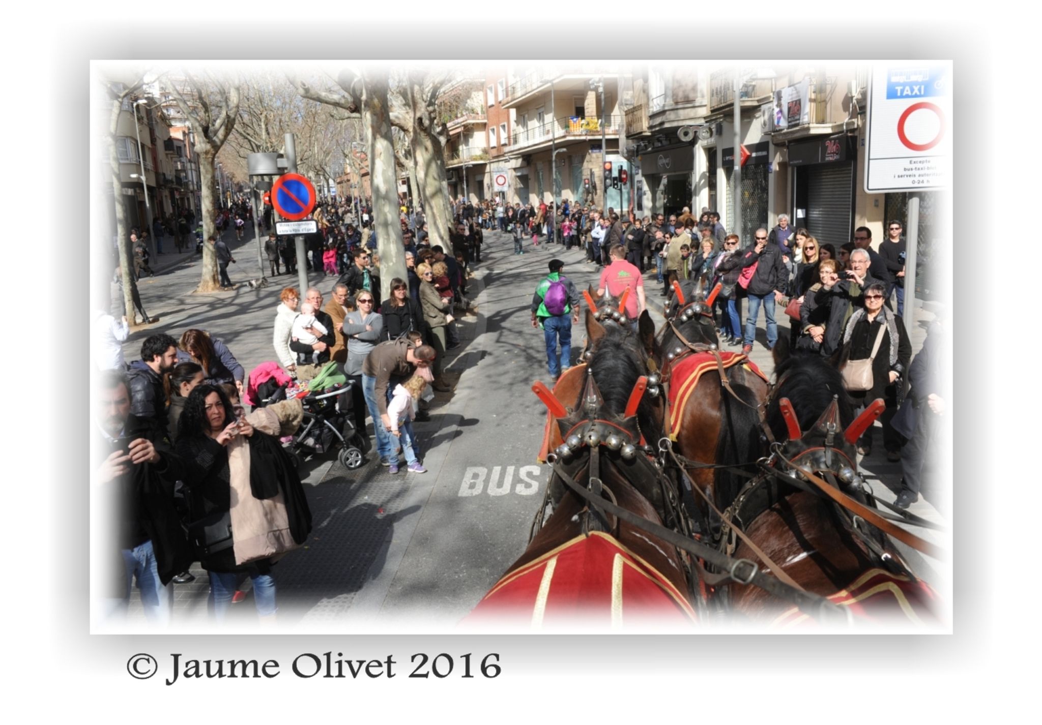  Jaume Olivet 2016