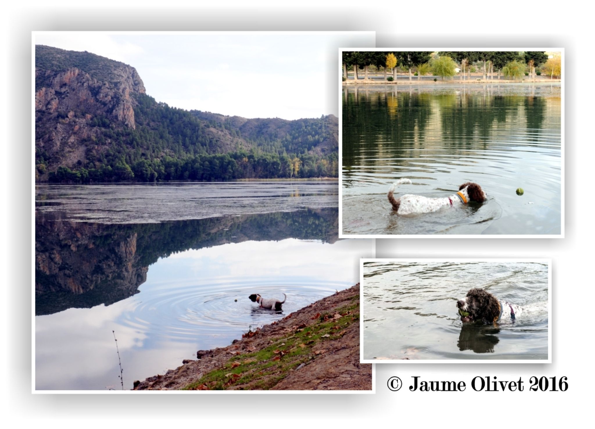 © Jaume Olivet 2016