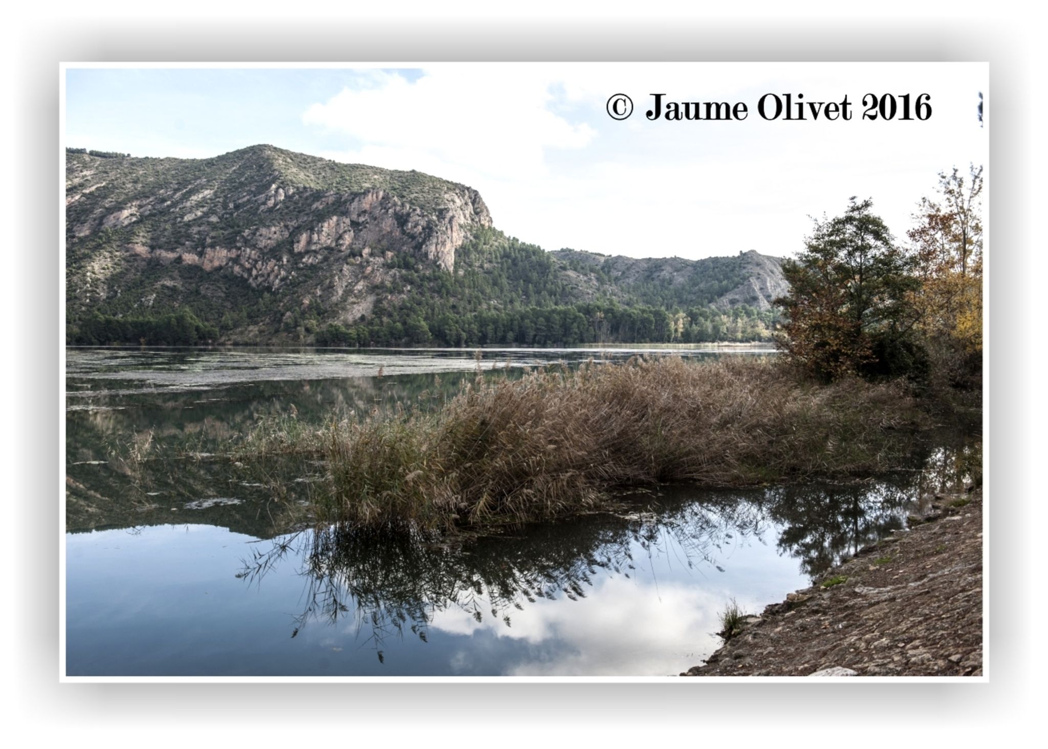 © Jaume Olivet 2016