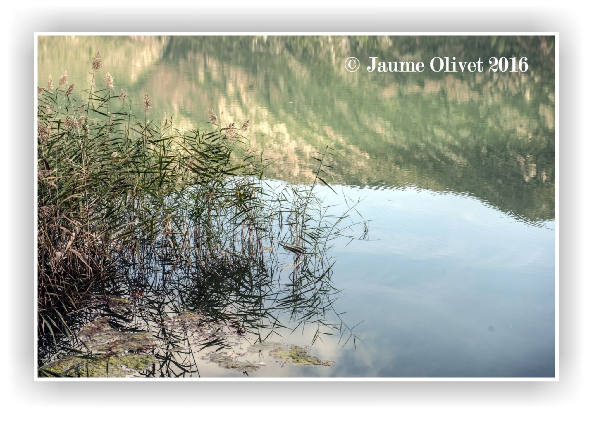 © Jaume Olivet 2016