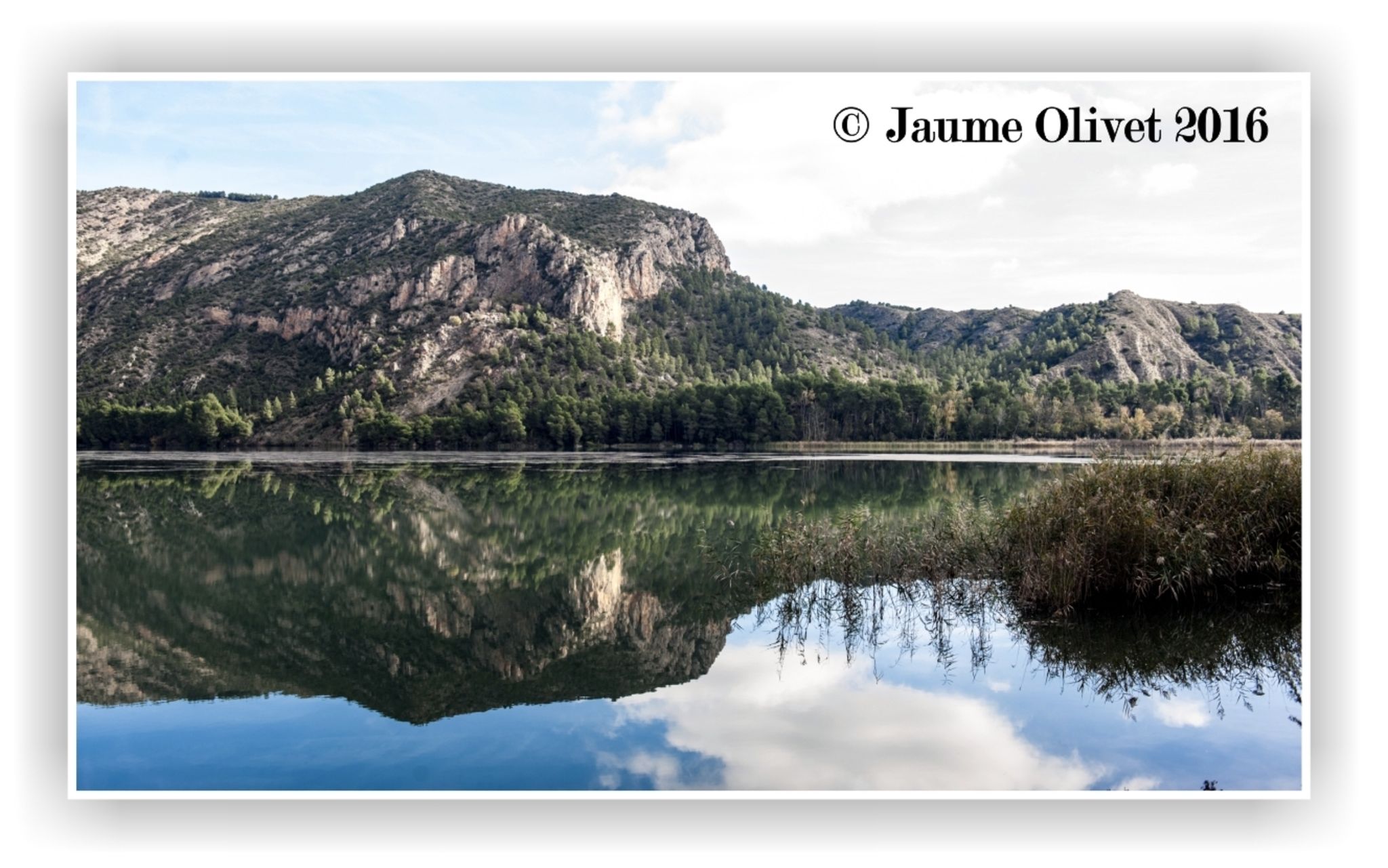 © Jaume Olivet 2016