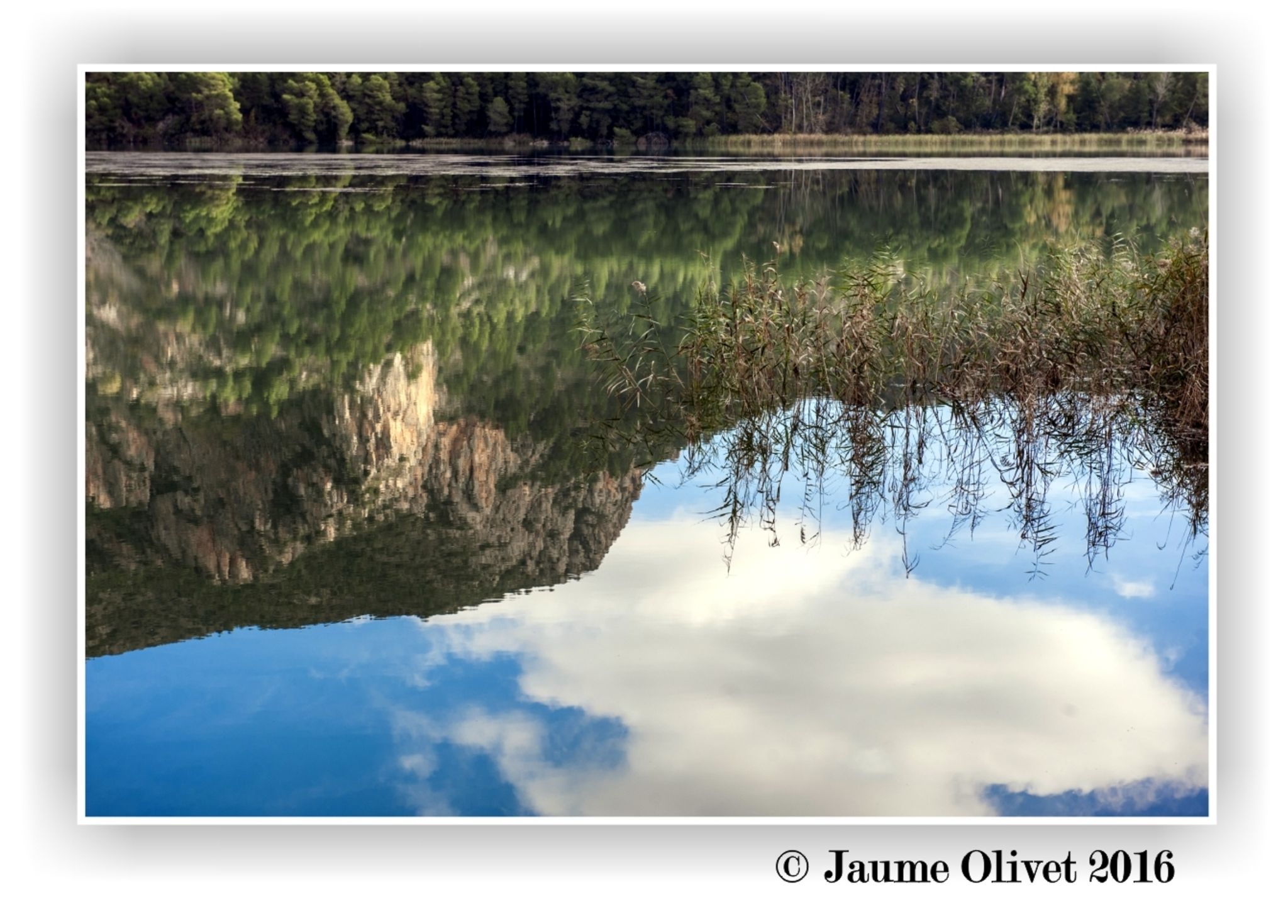 © Jaume Olivet 2016