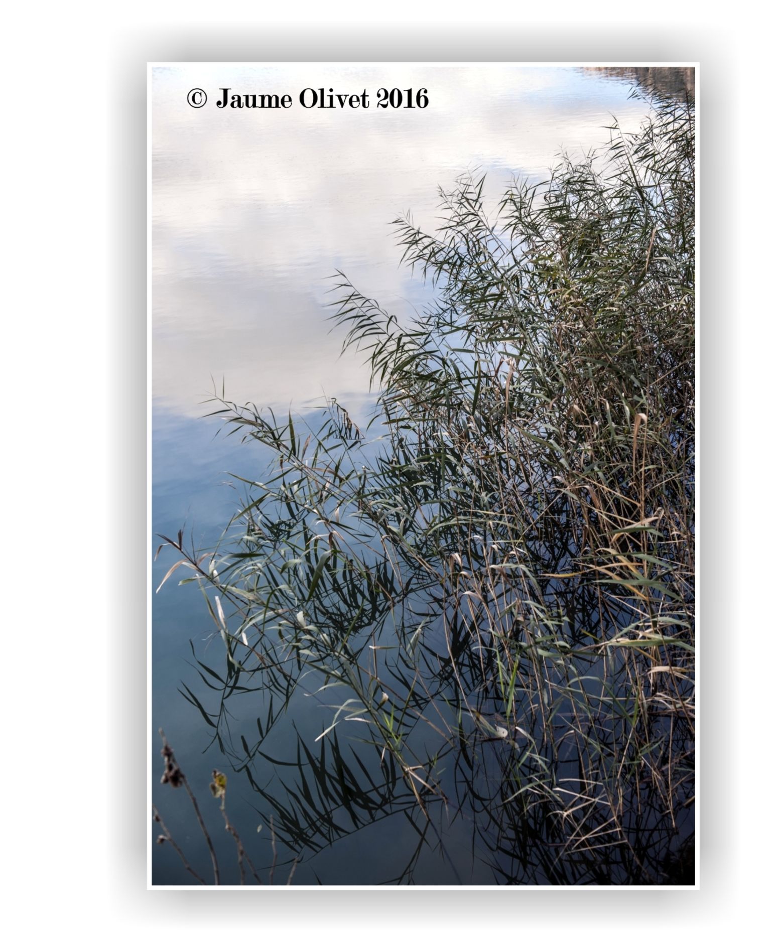 © Jaume Olivet 2016