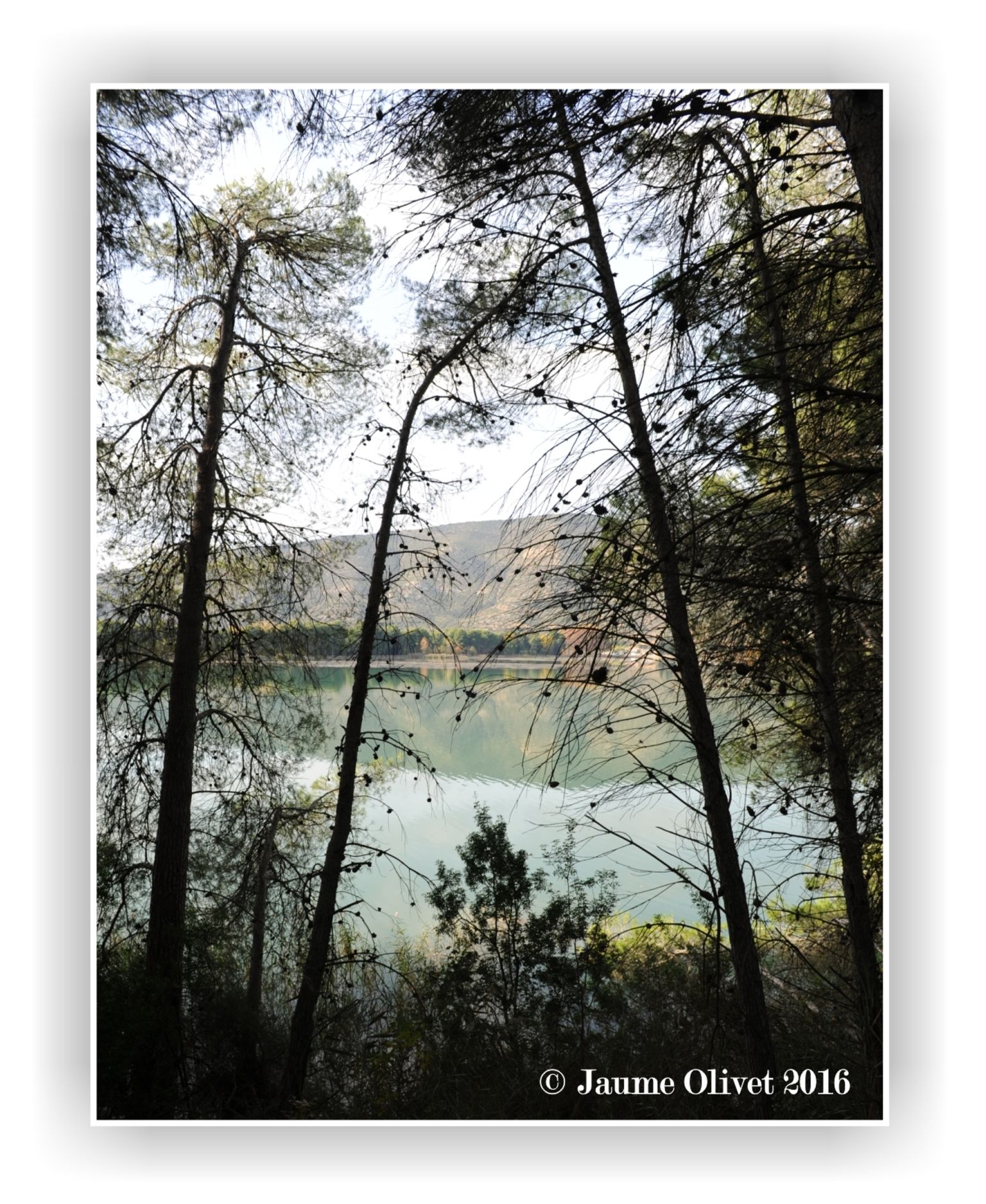 © Jaume Olivet 2016