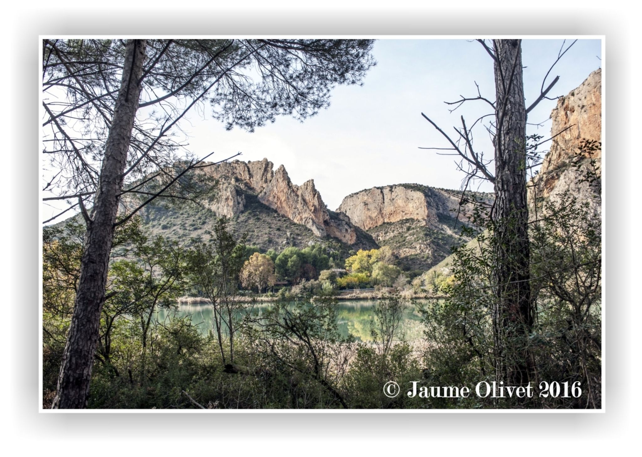 © Jaume Olivet 2016