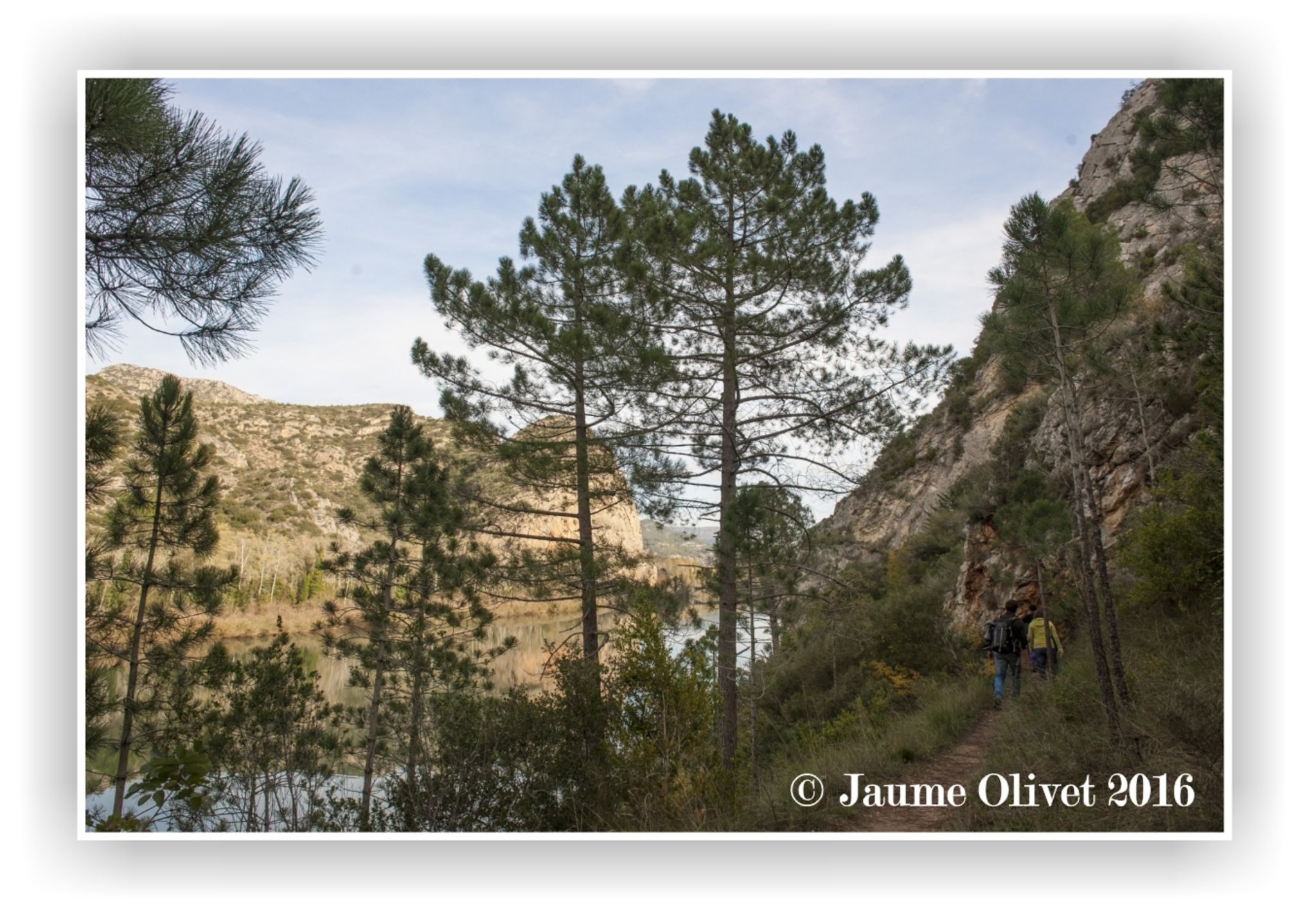 © Jaume Olivet 2016