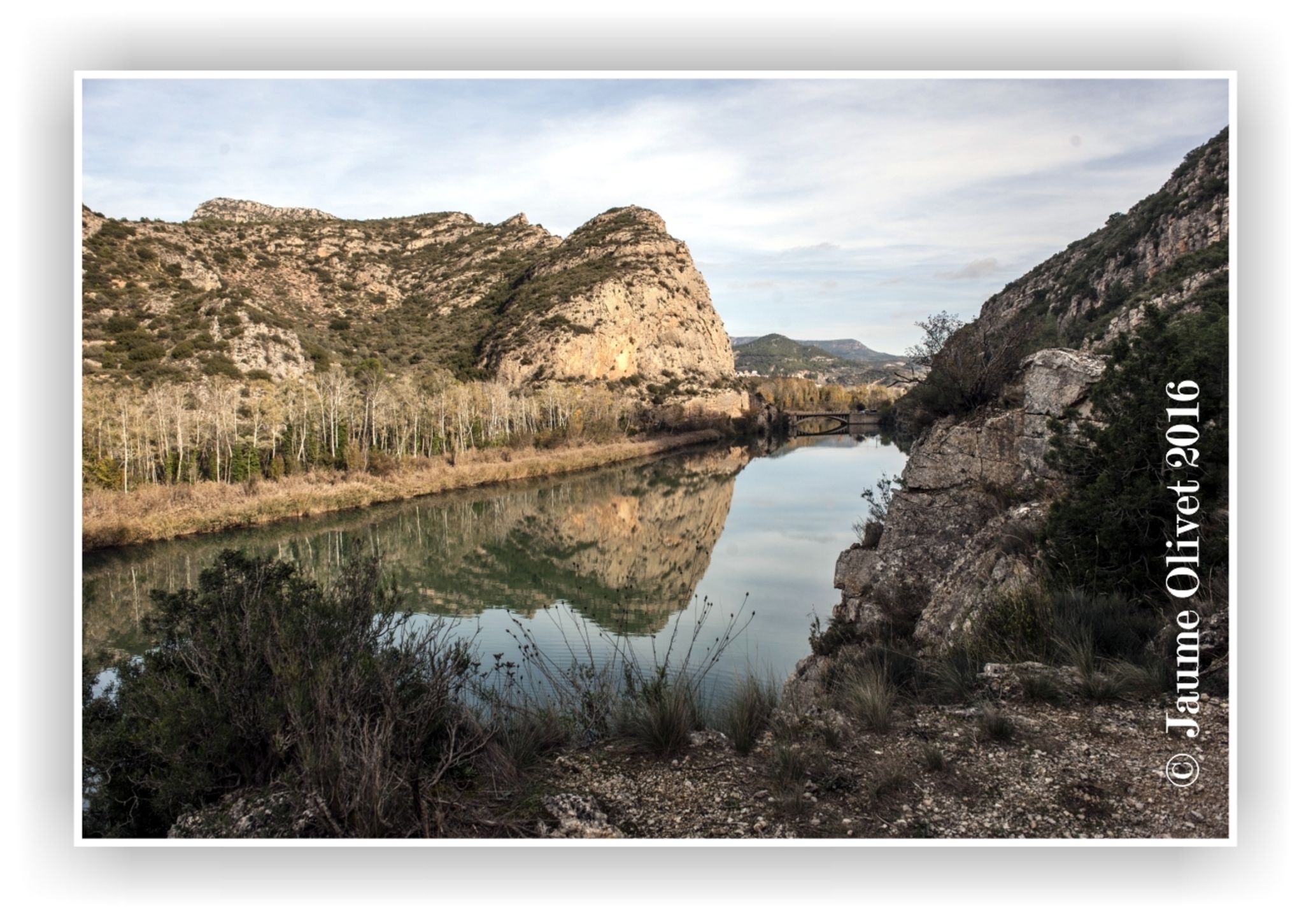 © Jaume Olivet 2016