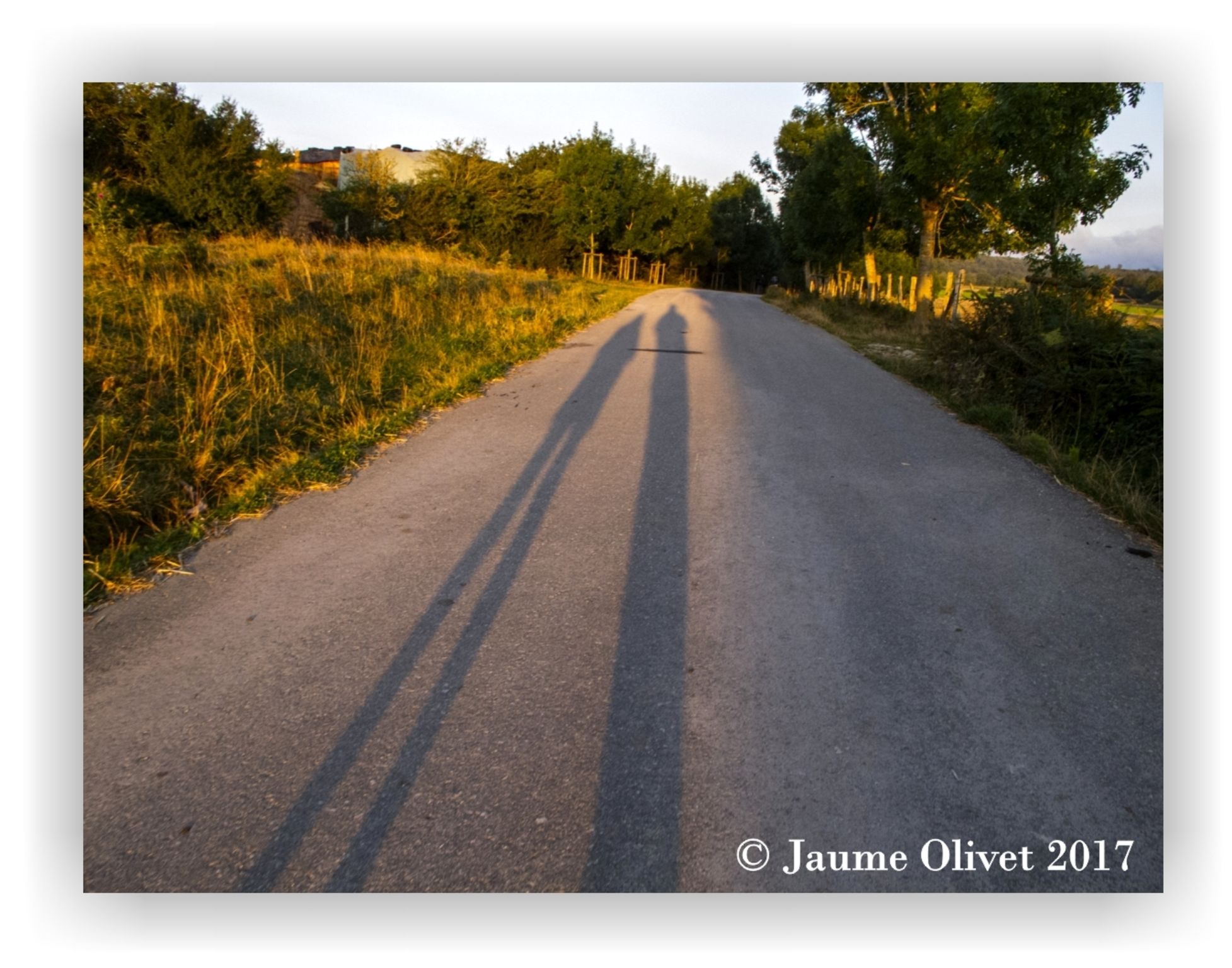  Jaume Olivet 2017
