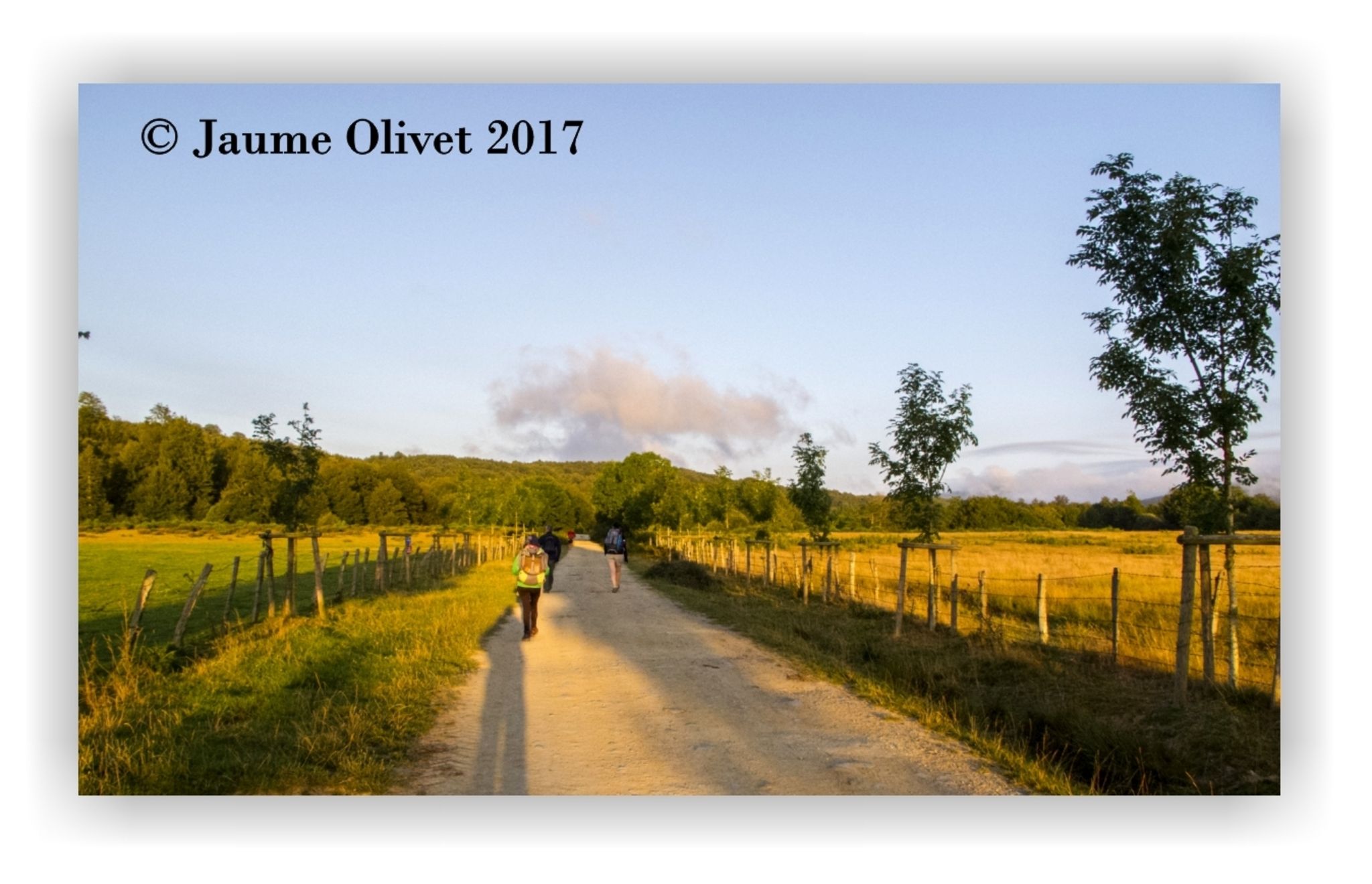  Jaume Olivet 2017