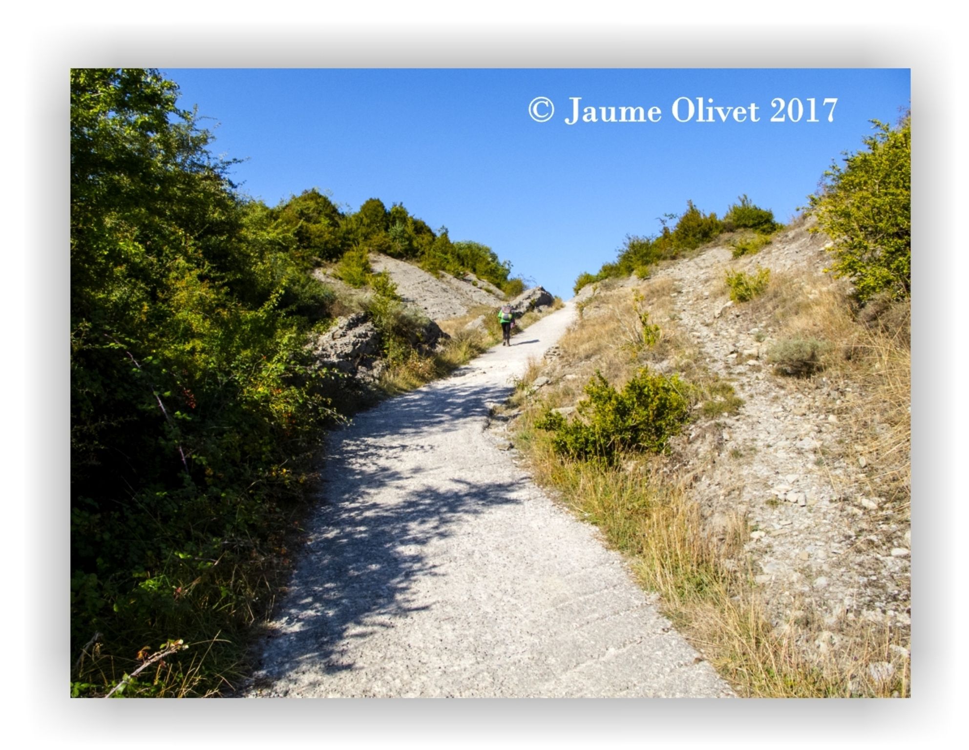  Jaume Olivet 2017