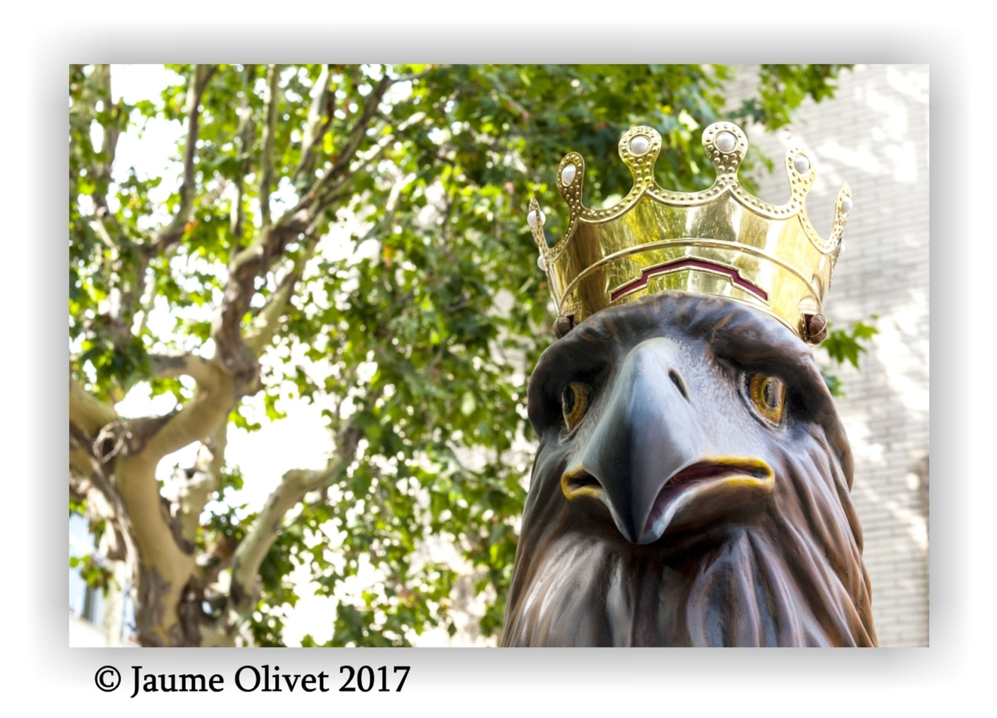  Jaume Olivet 2017