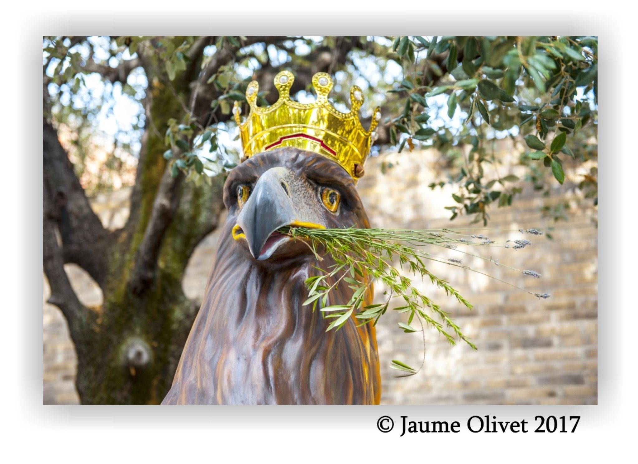  Jaume Olivet 2017