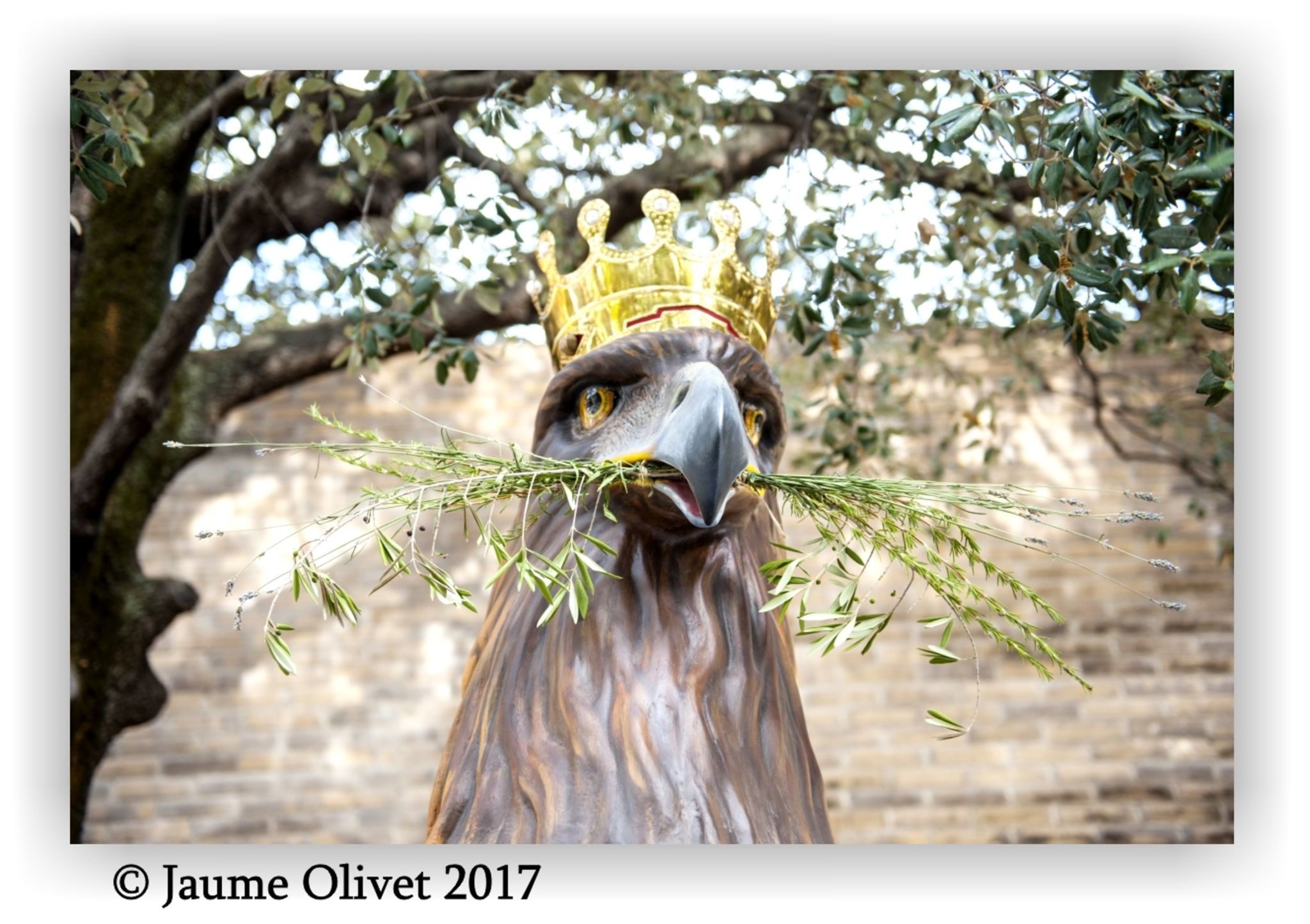  Jaume Olivet 2017
