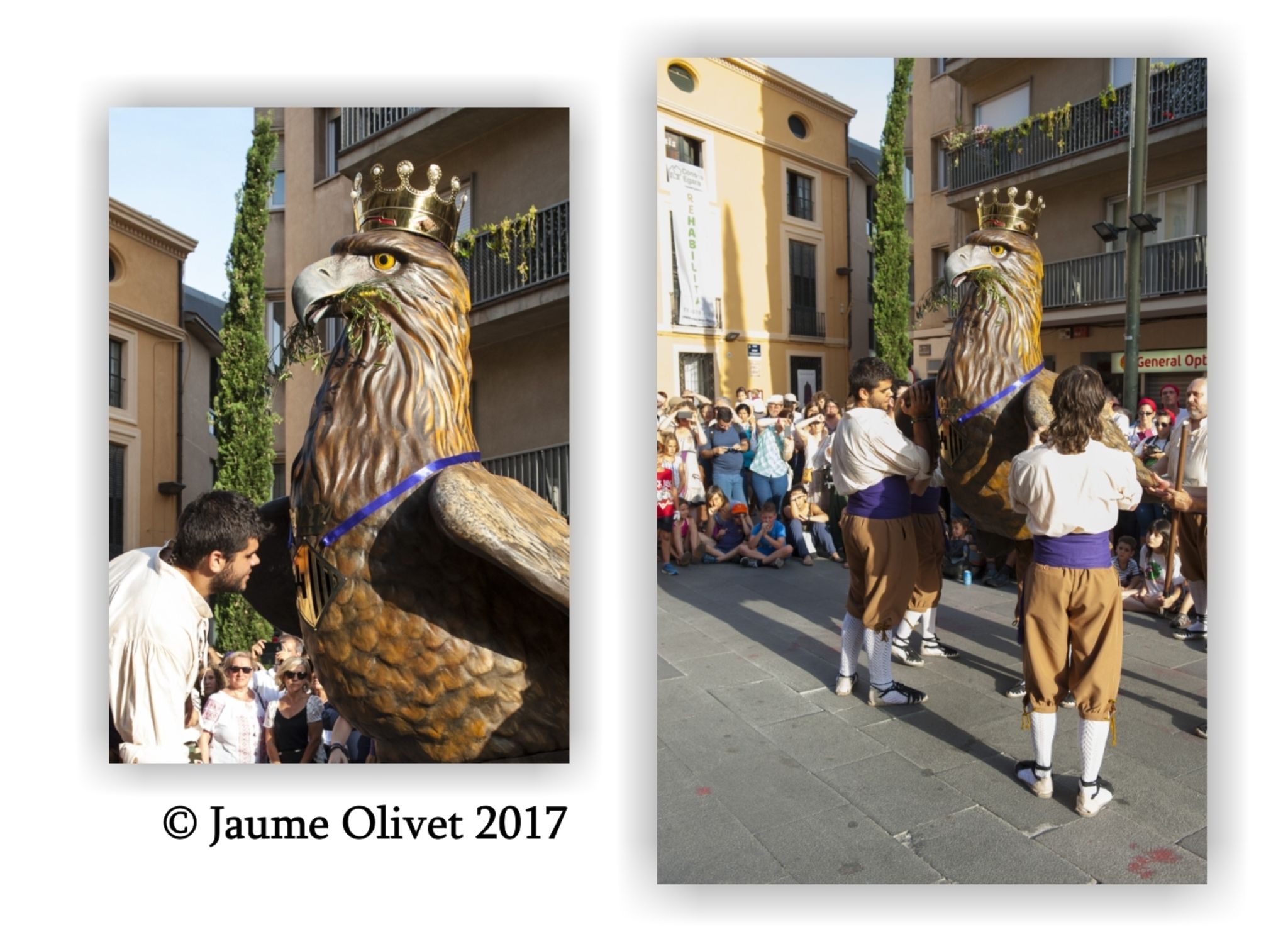  Jaume Olivet 2017
