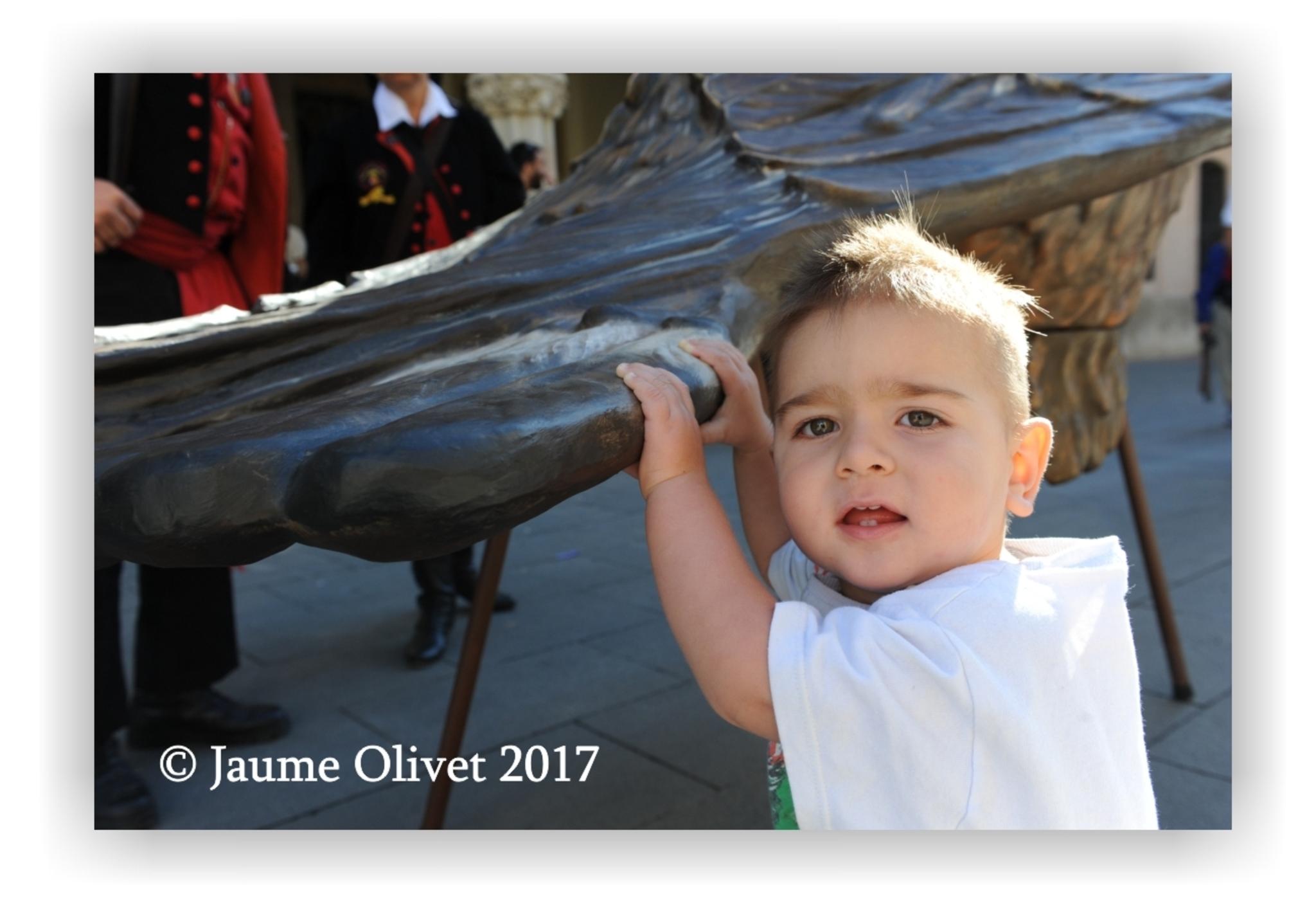  Jaume Olivet 2017
