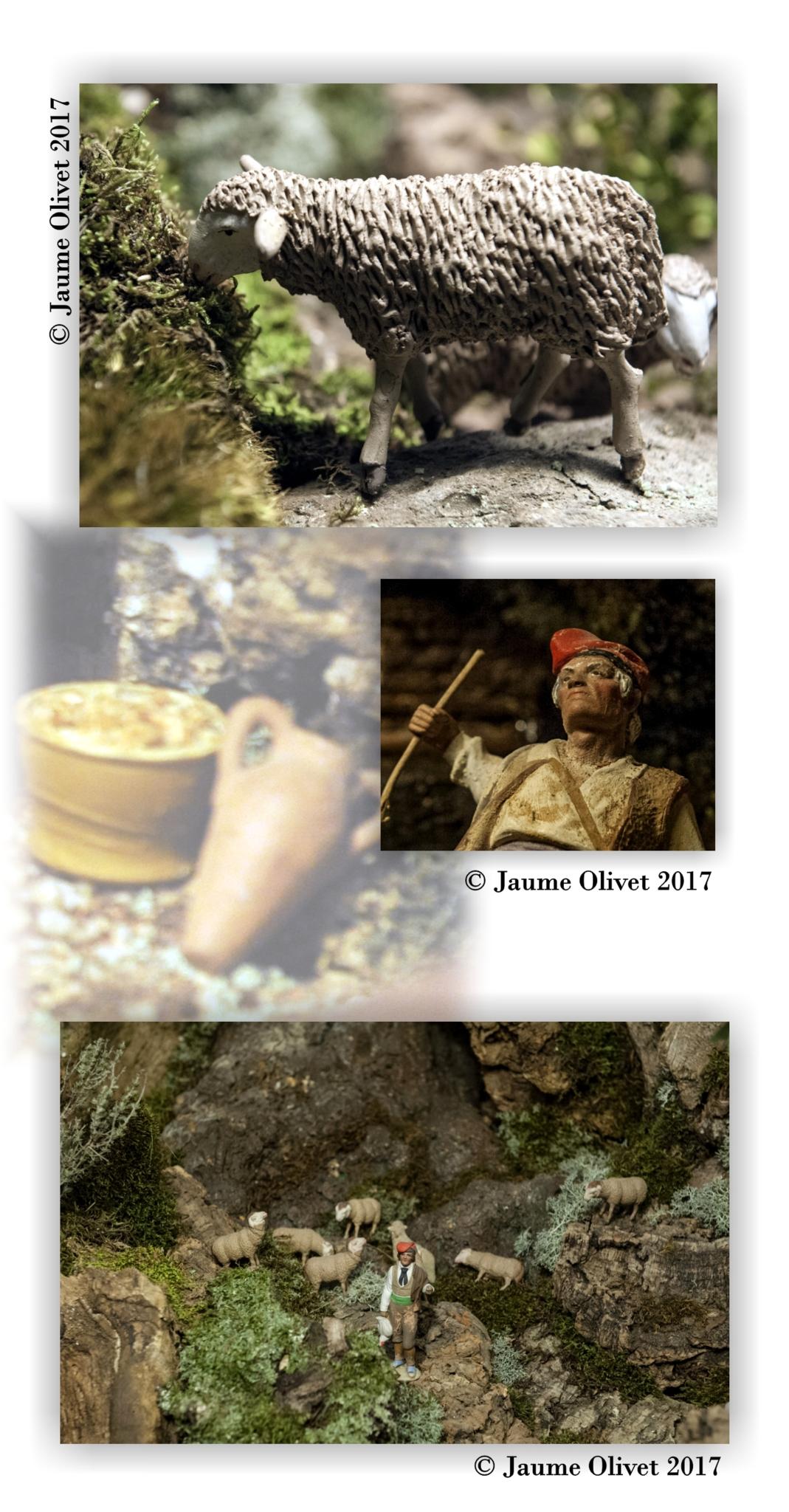  Jaume Olivet 2017