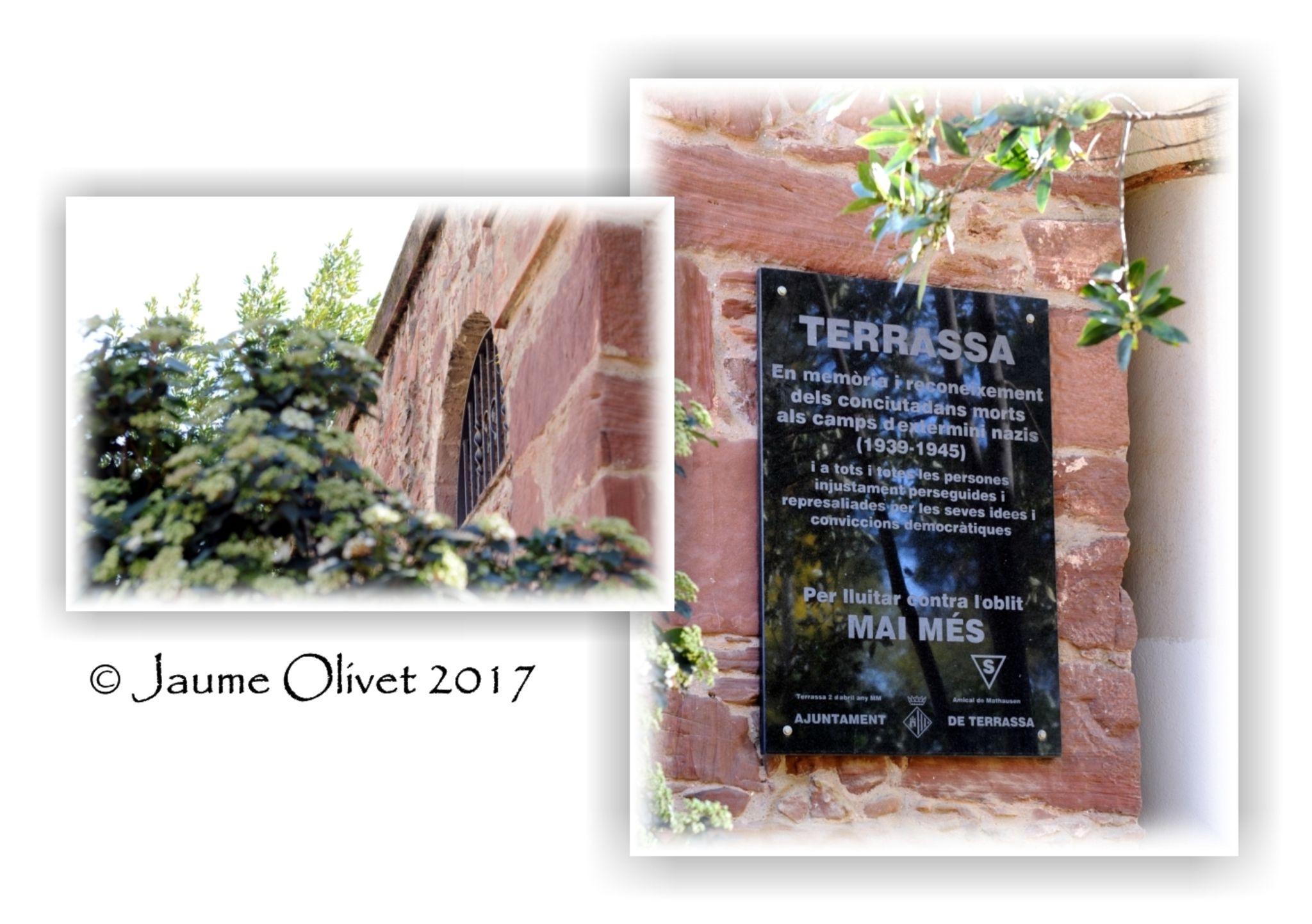 Jaume Olivet 2017