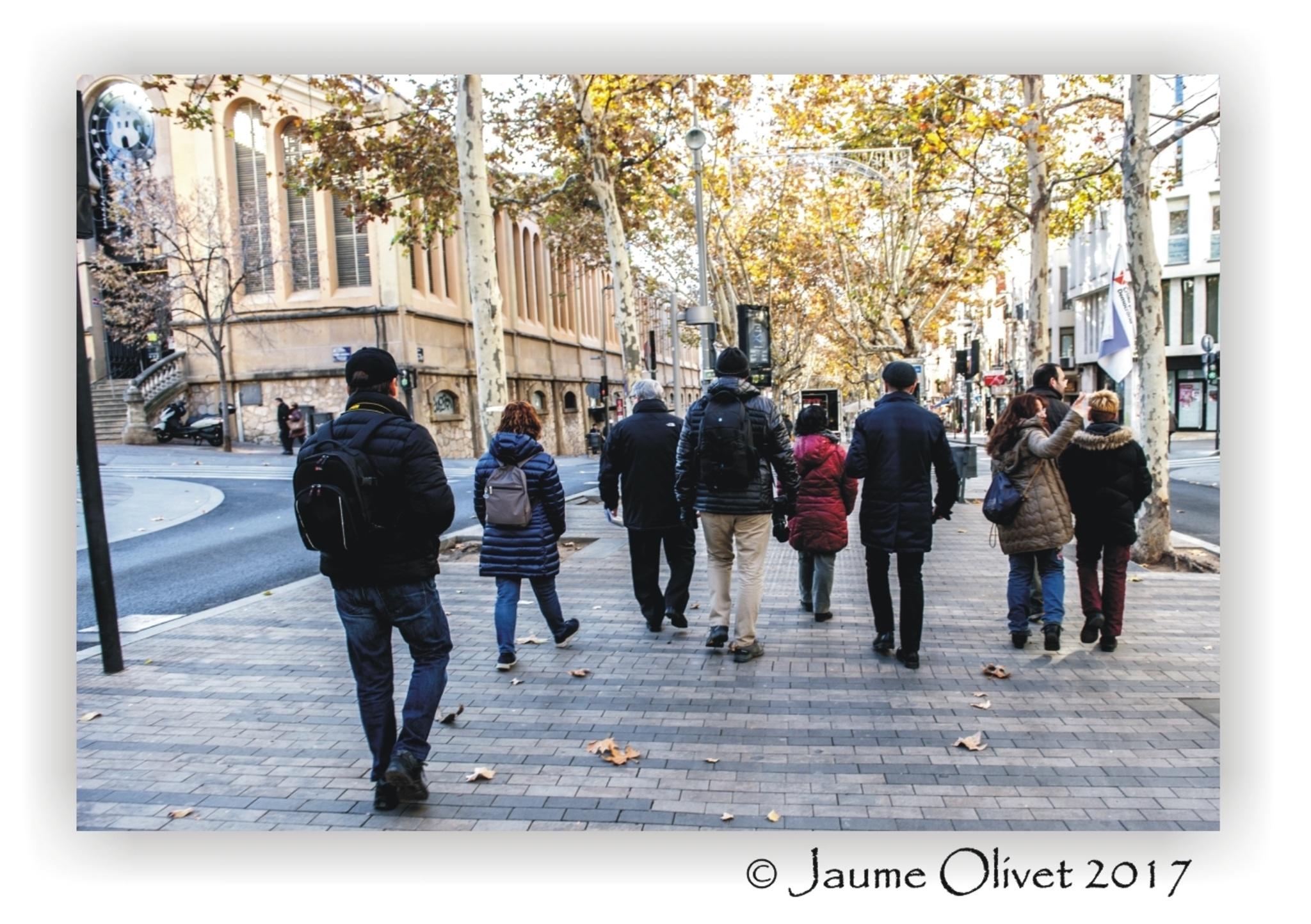 © Jaume Olivet 2017